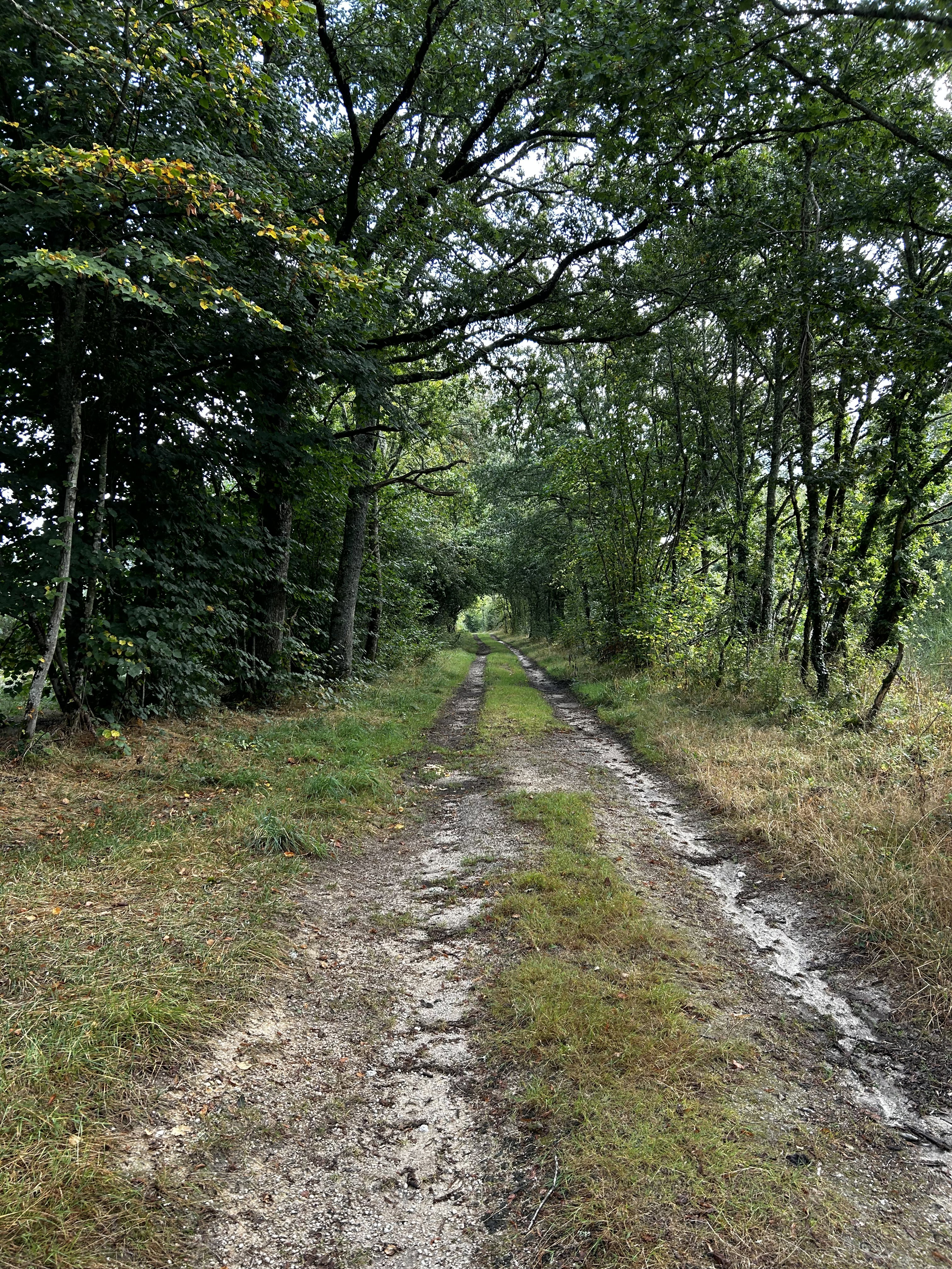 - image: 17