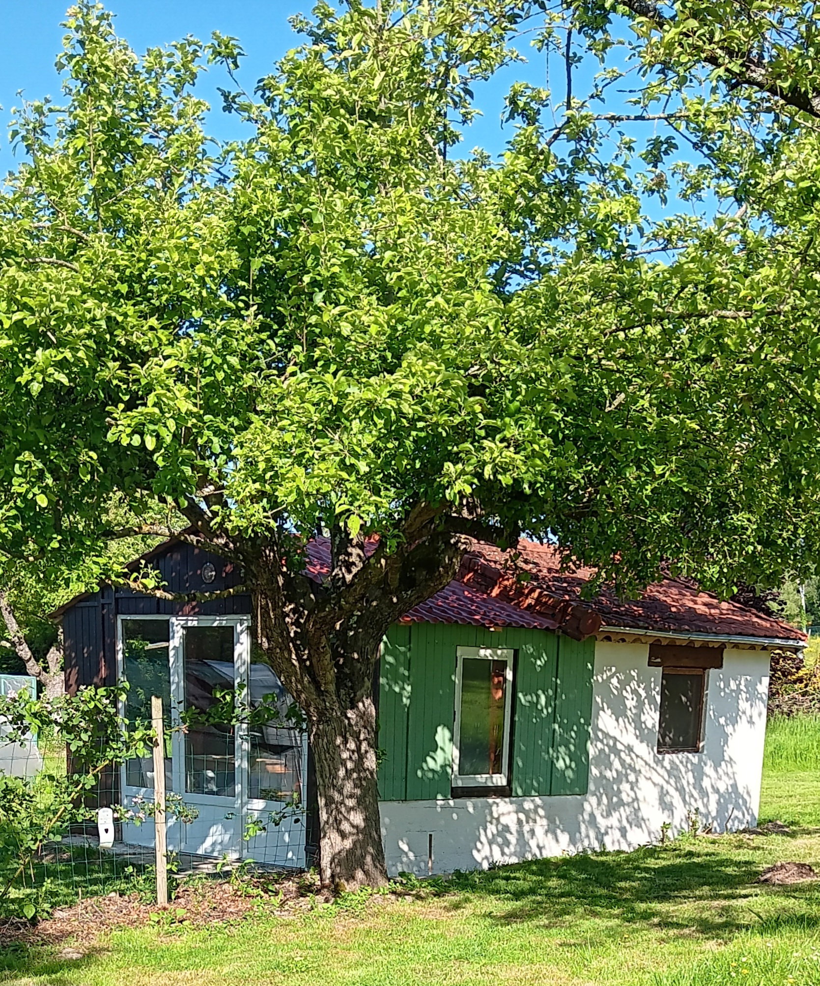 Natuurhuisje in Curgy