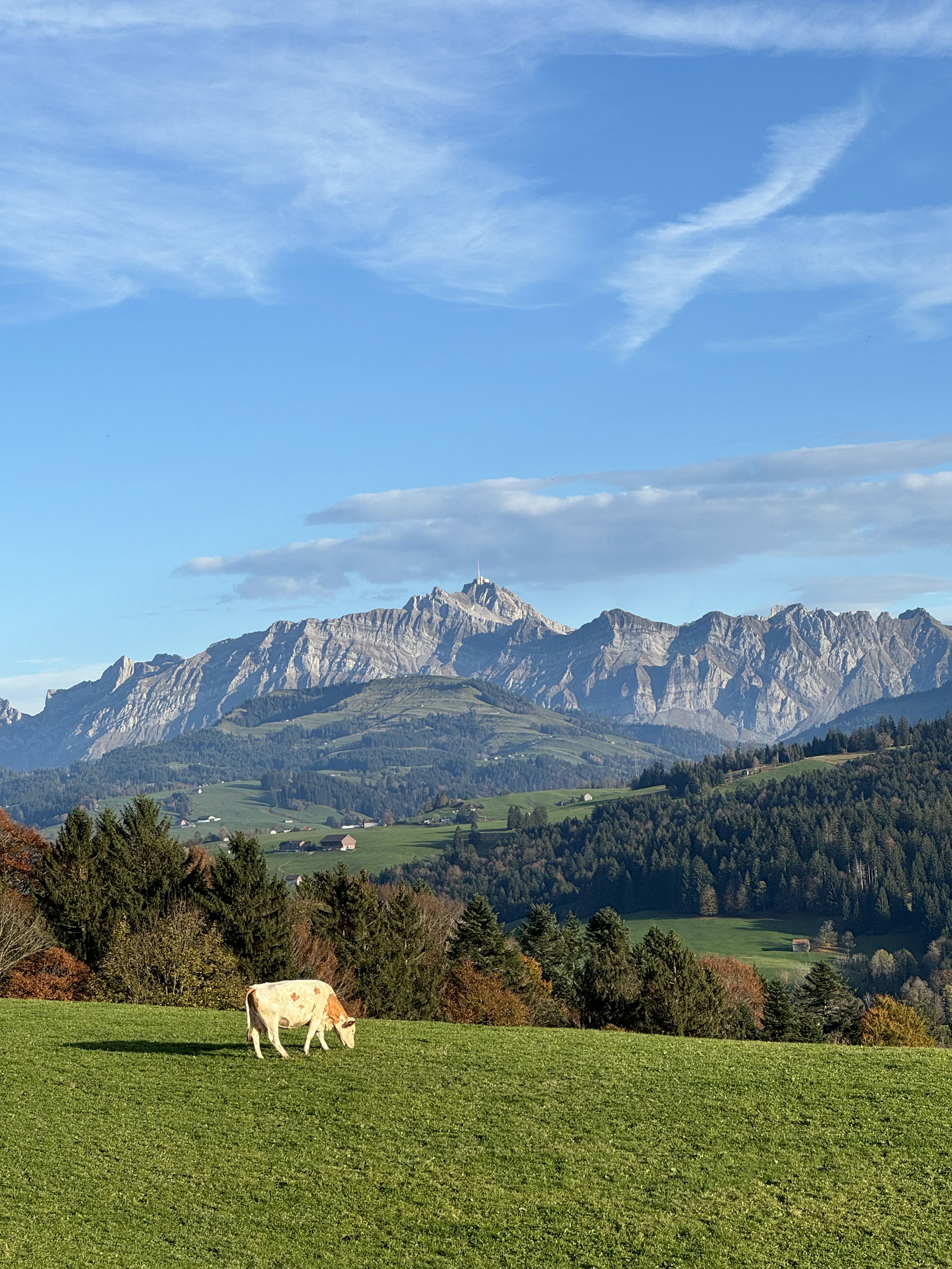 - image: 28
