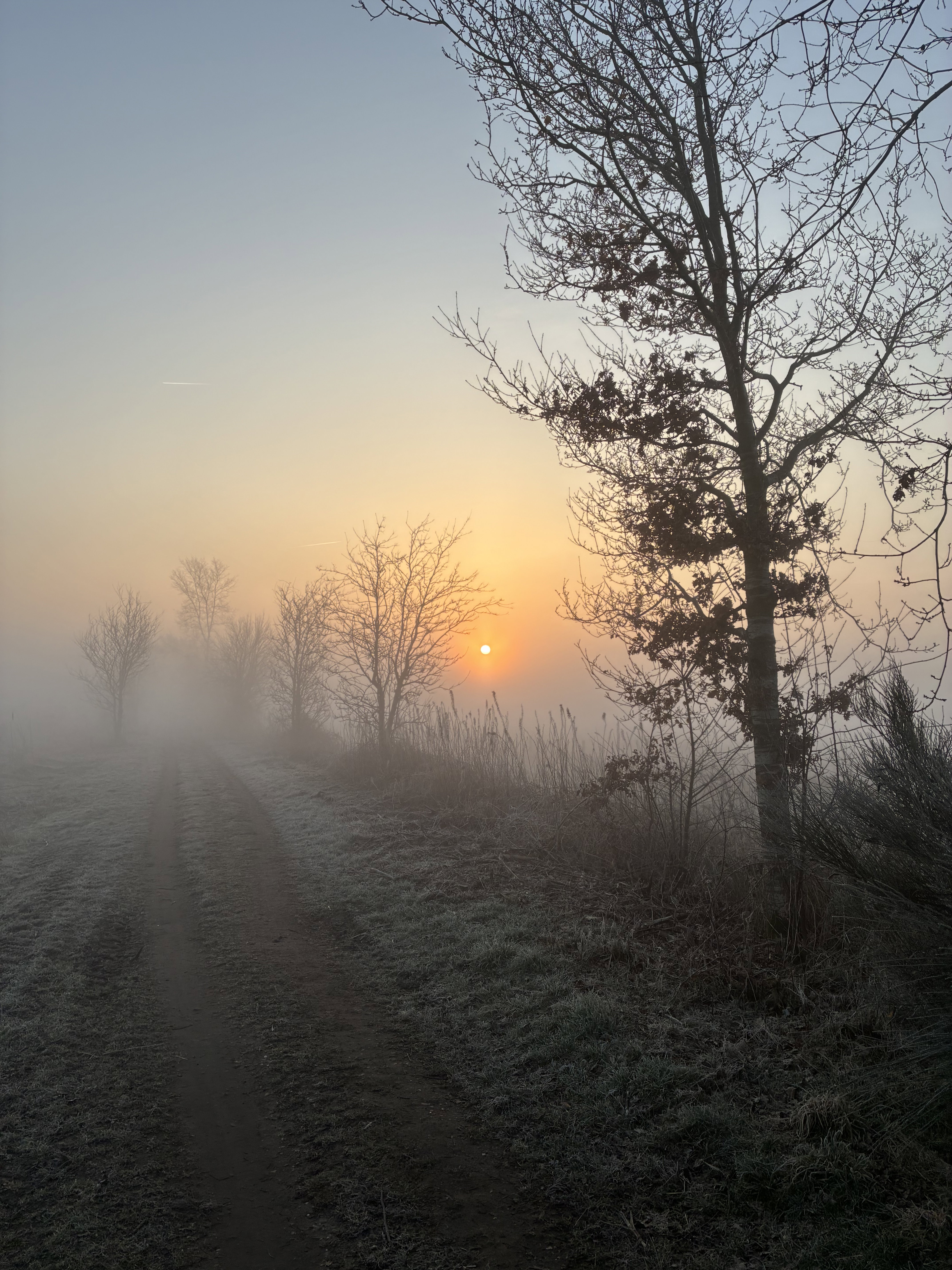 - image: 19