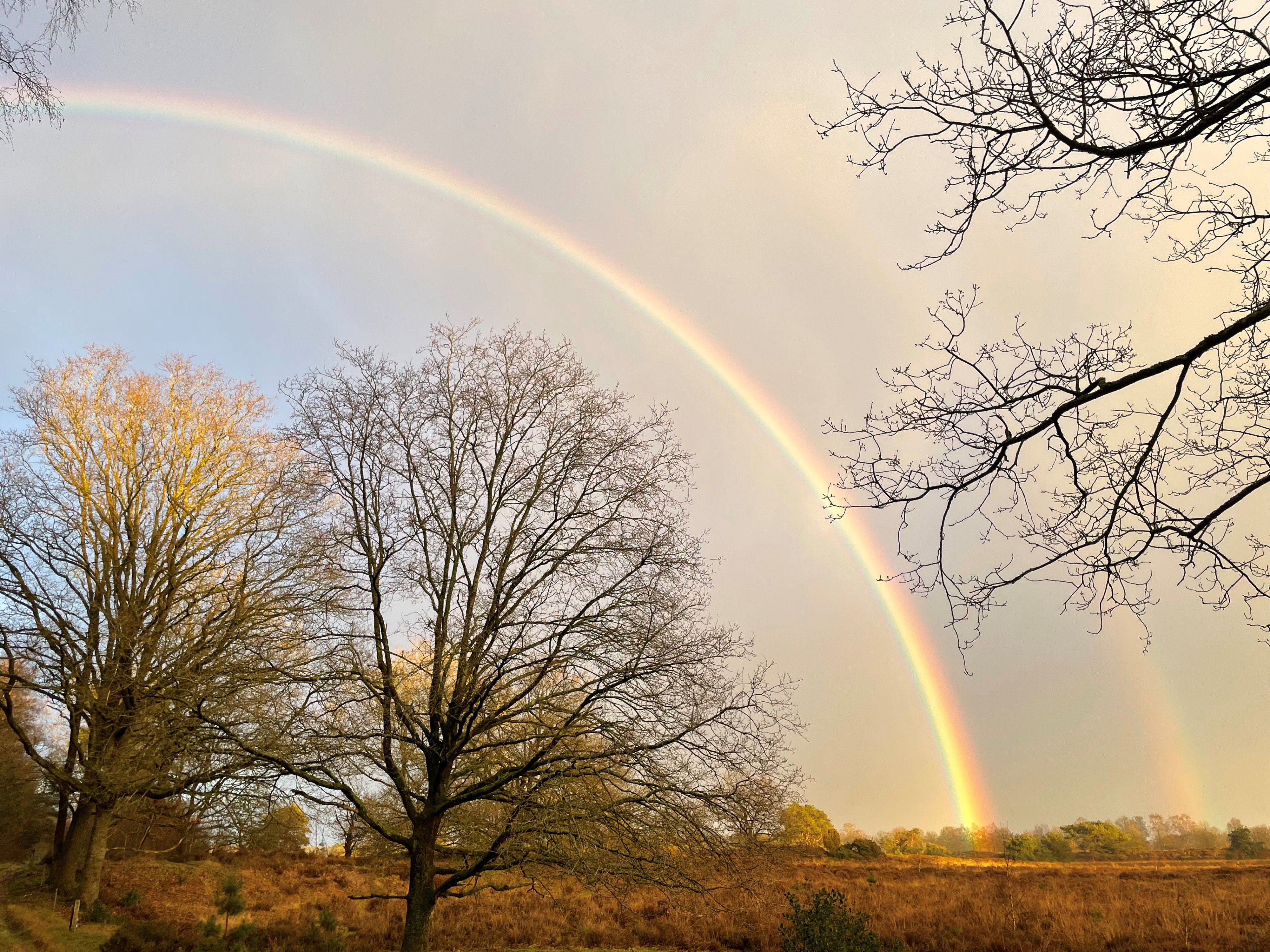 Naturhäuschen in Spier