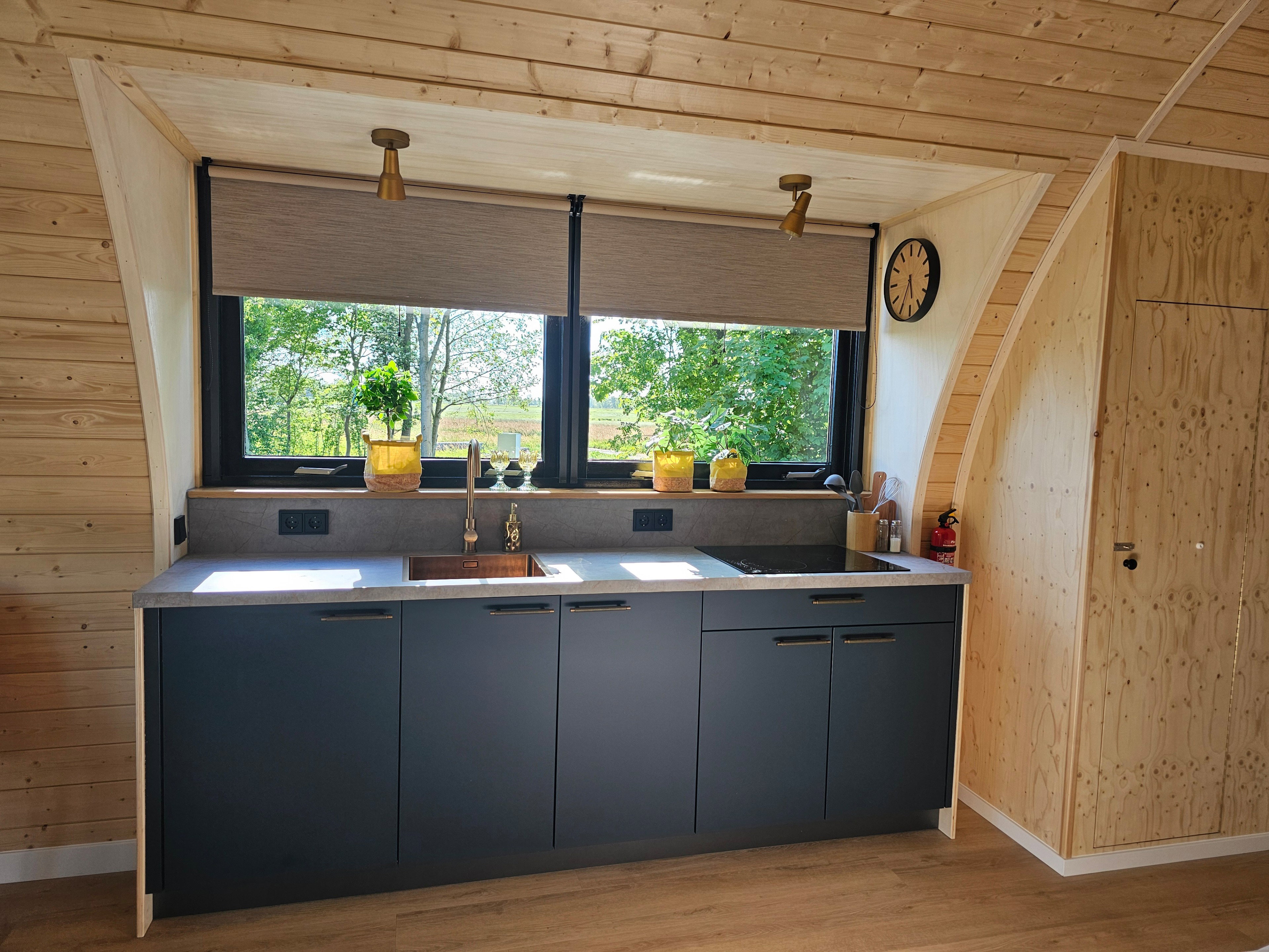 Nature house in Westergeest
