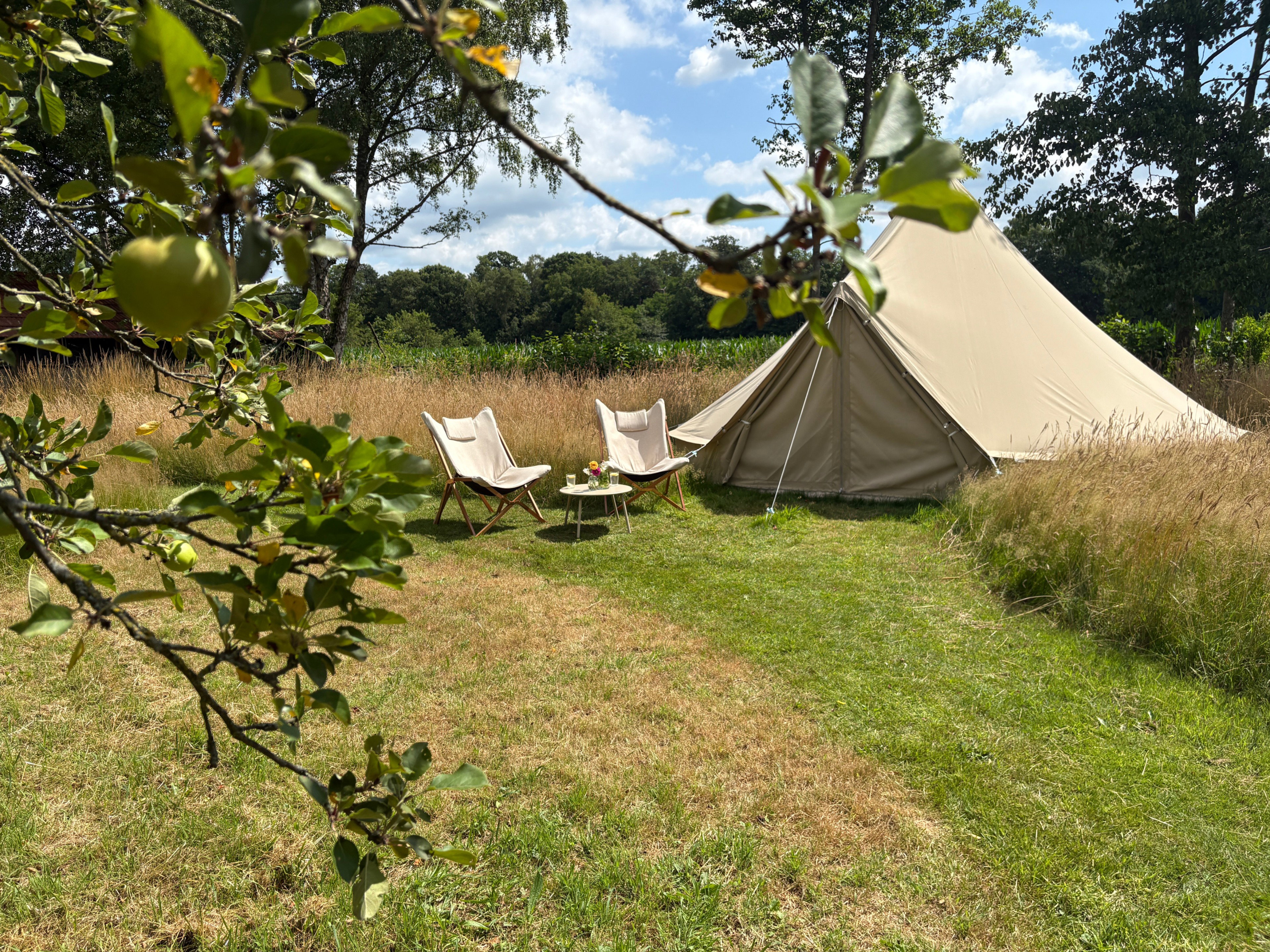 Natuurhuisje in Vorden