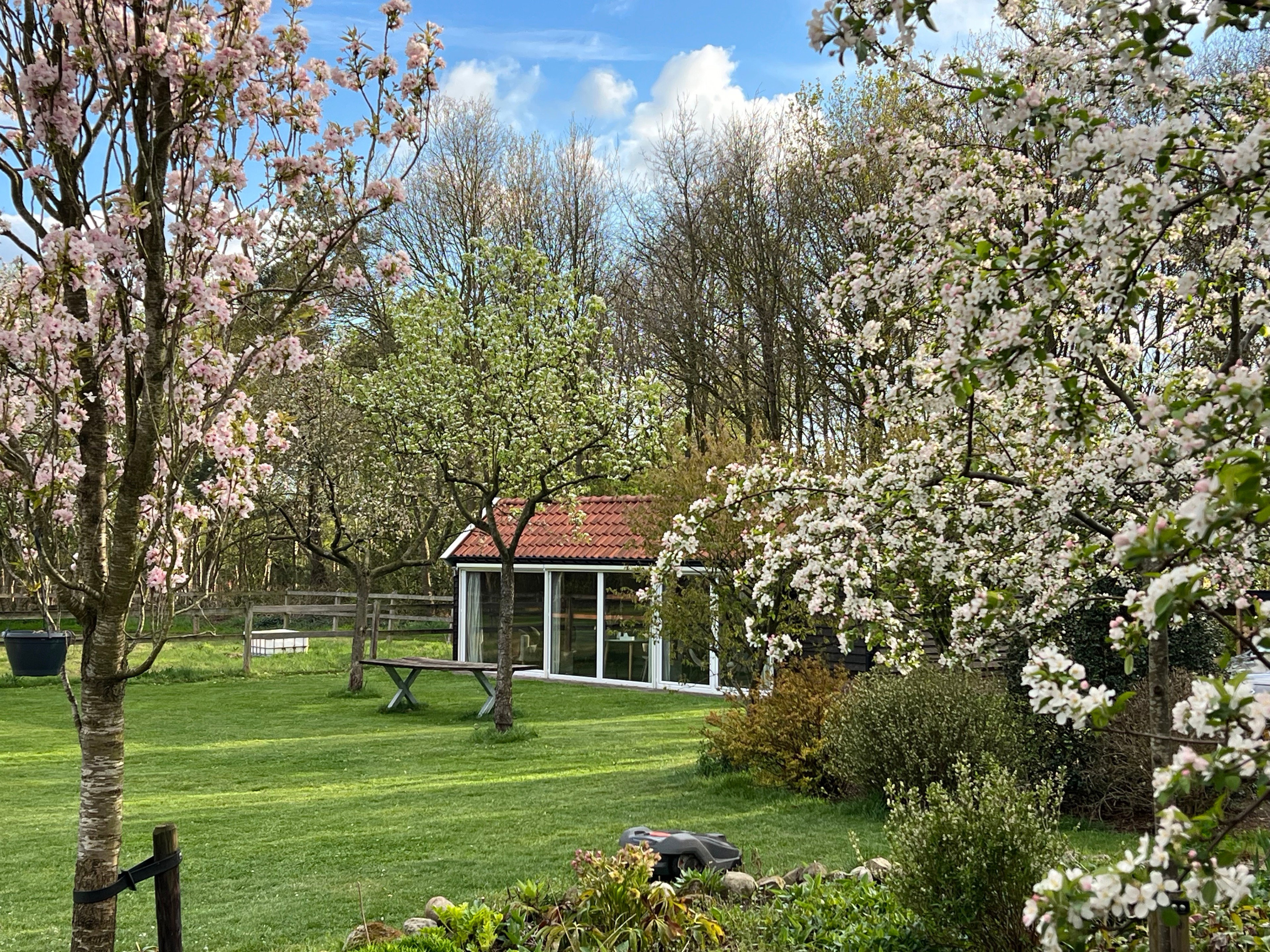 Natuurhuisje in Zuidwolde