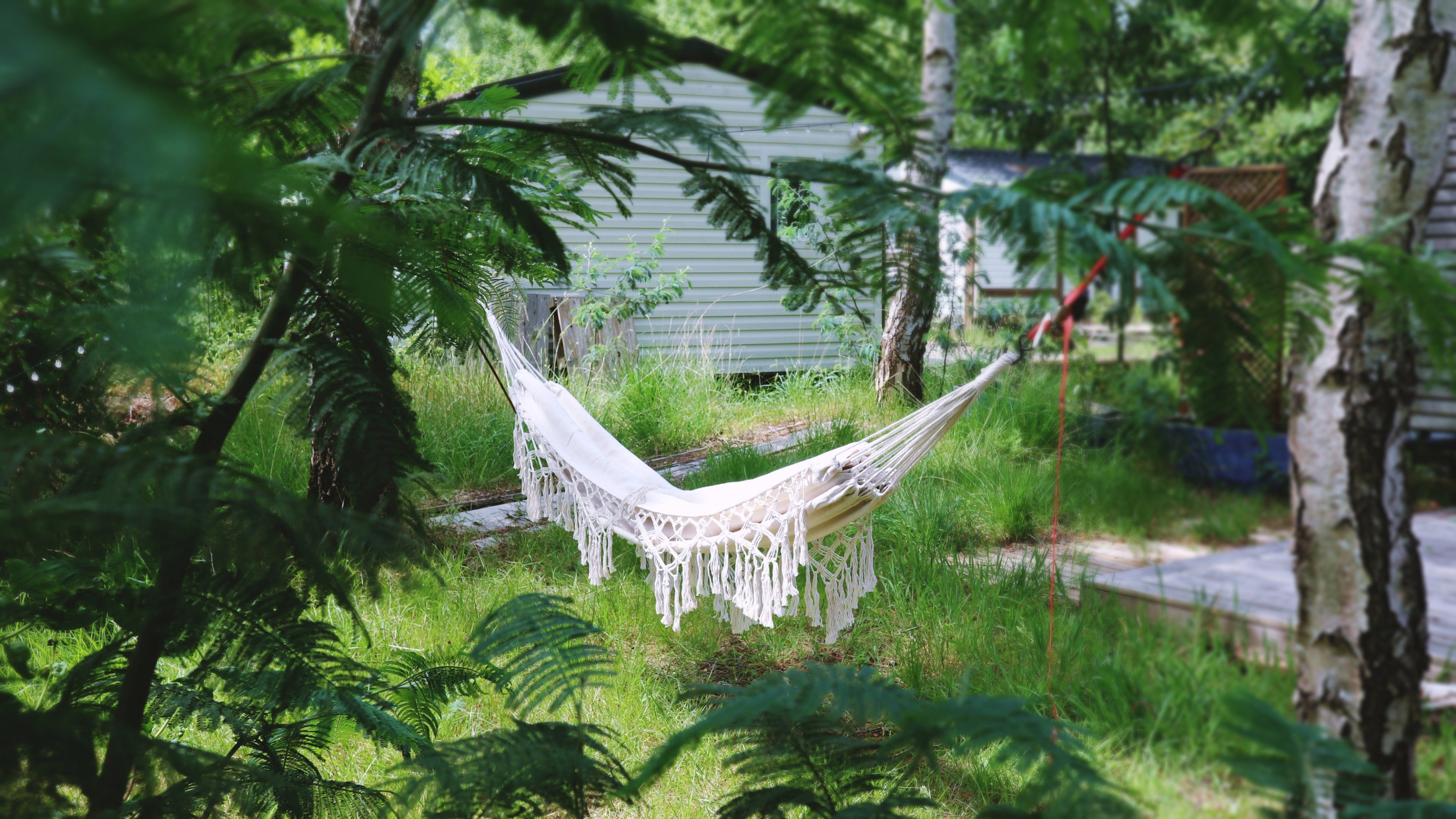 Maison nature à Naujac-sur-Mer