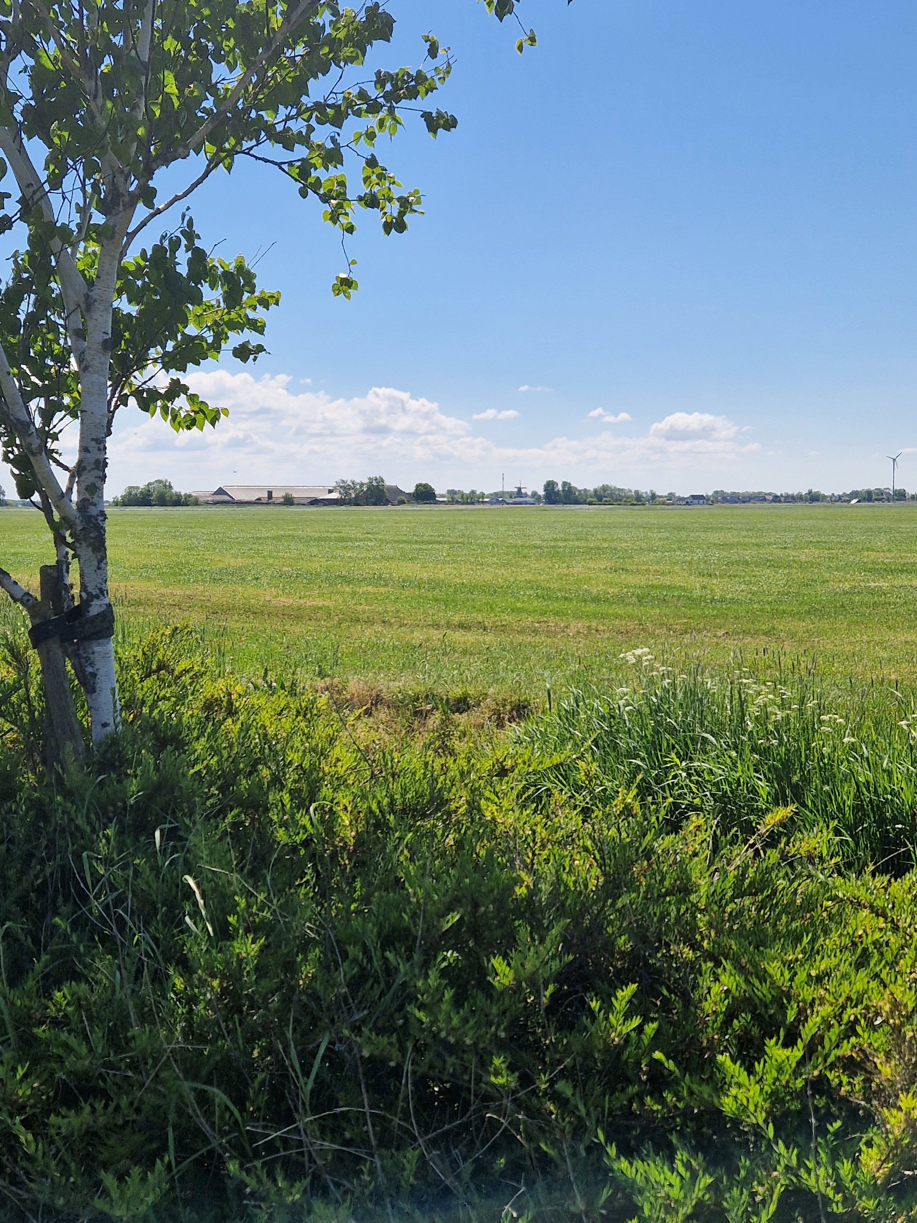 Natuurhuisje in Jannum