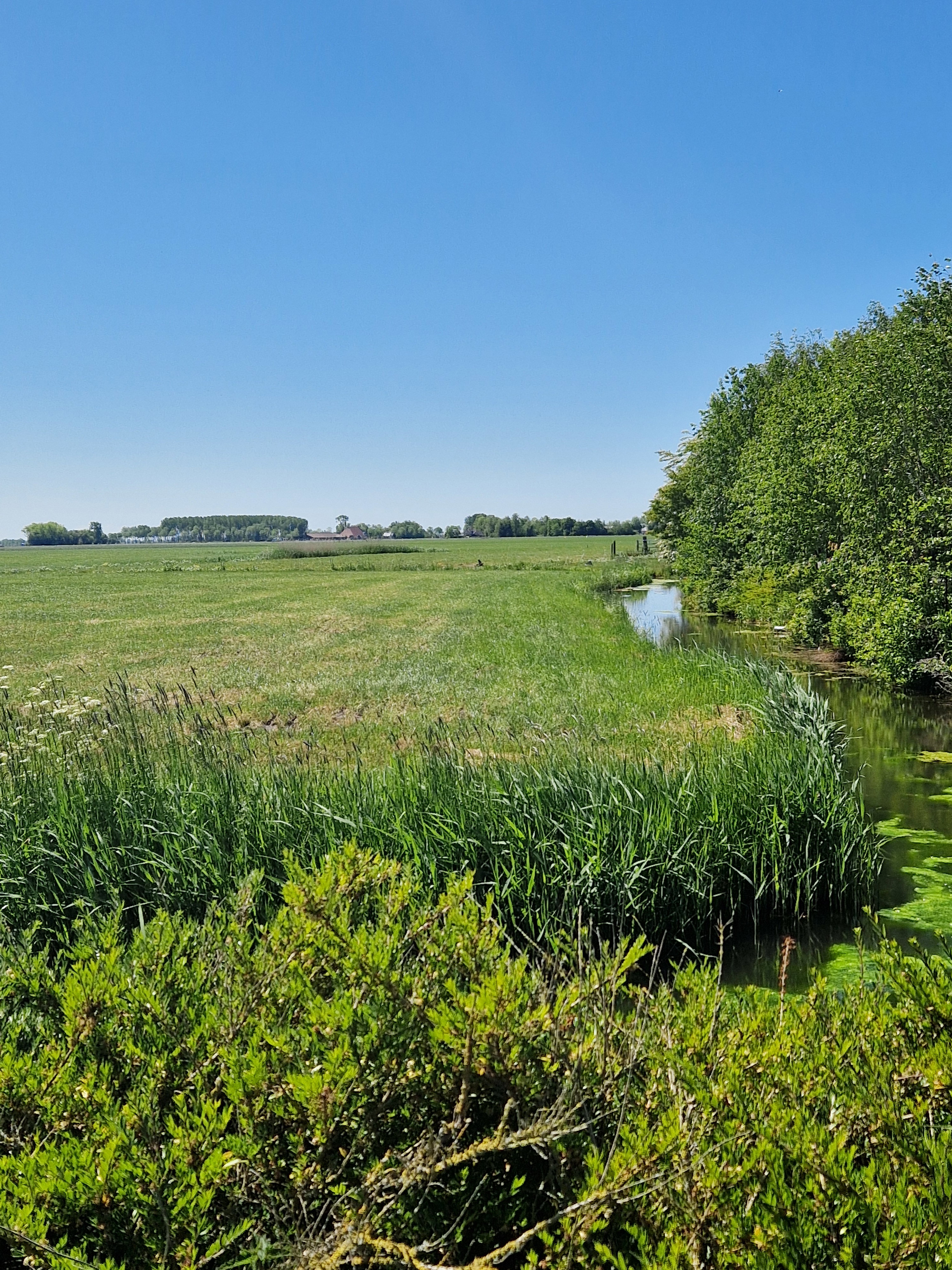 Natuurhuisje in Jannum