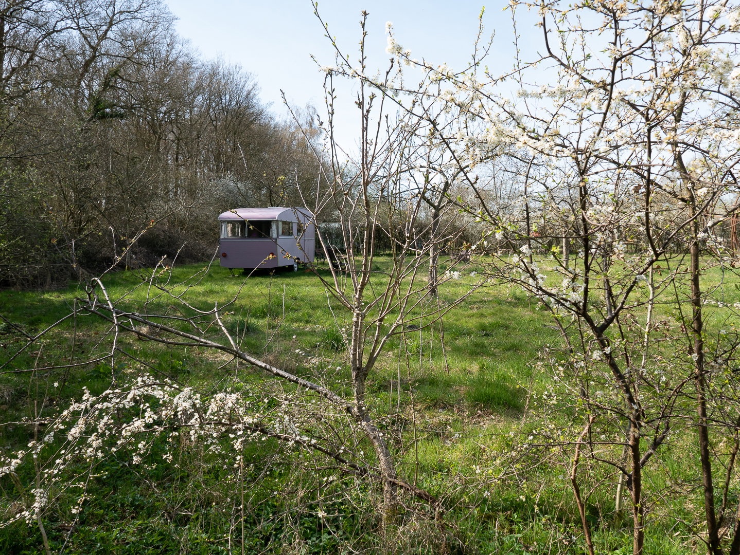 Maison nature à Veenhuizen