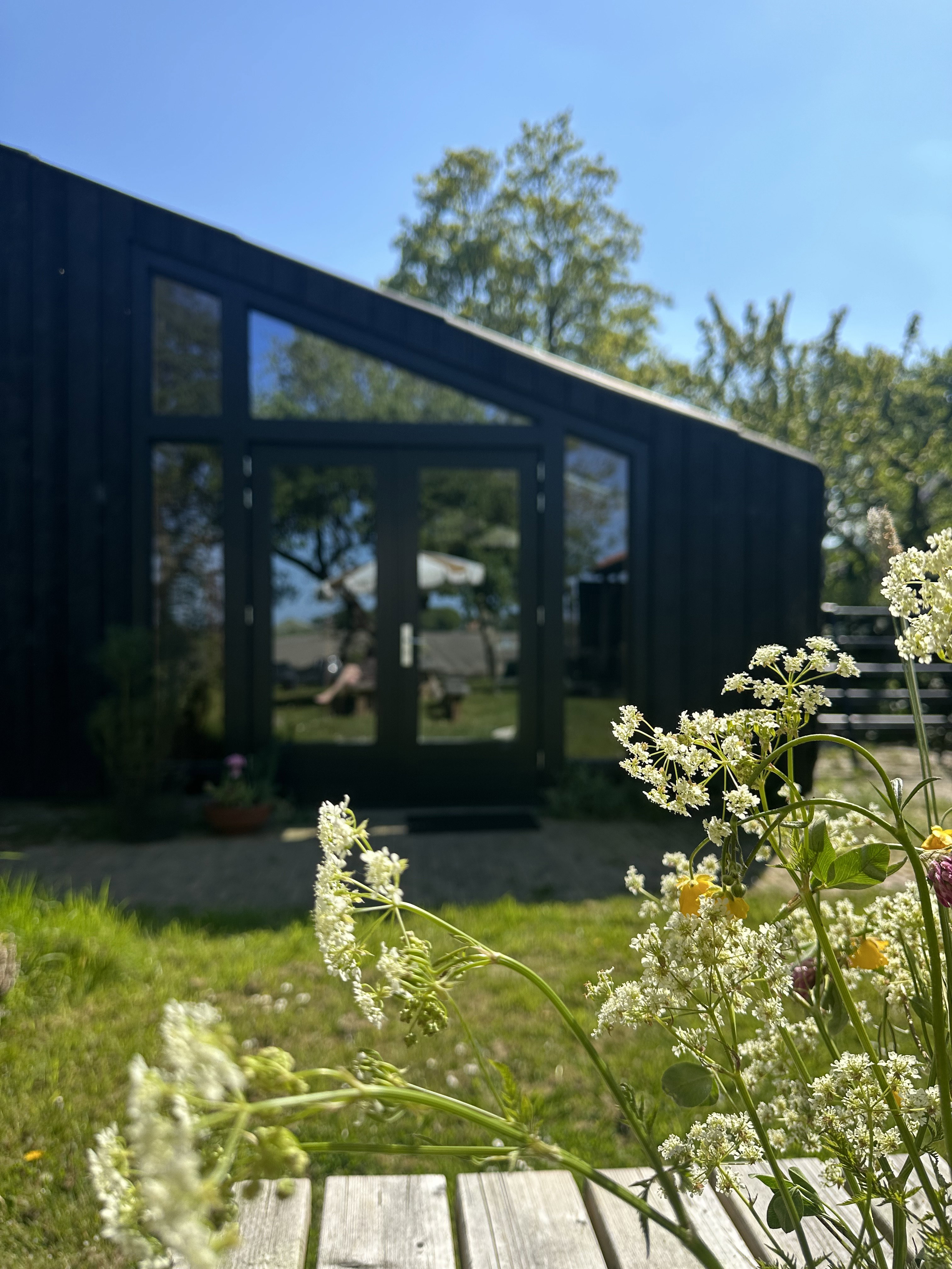 Casa nella natura a Pieterburen