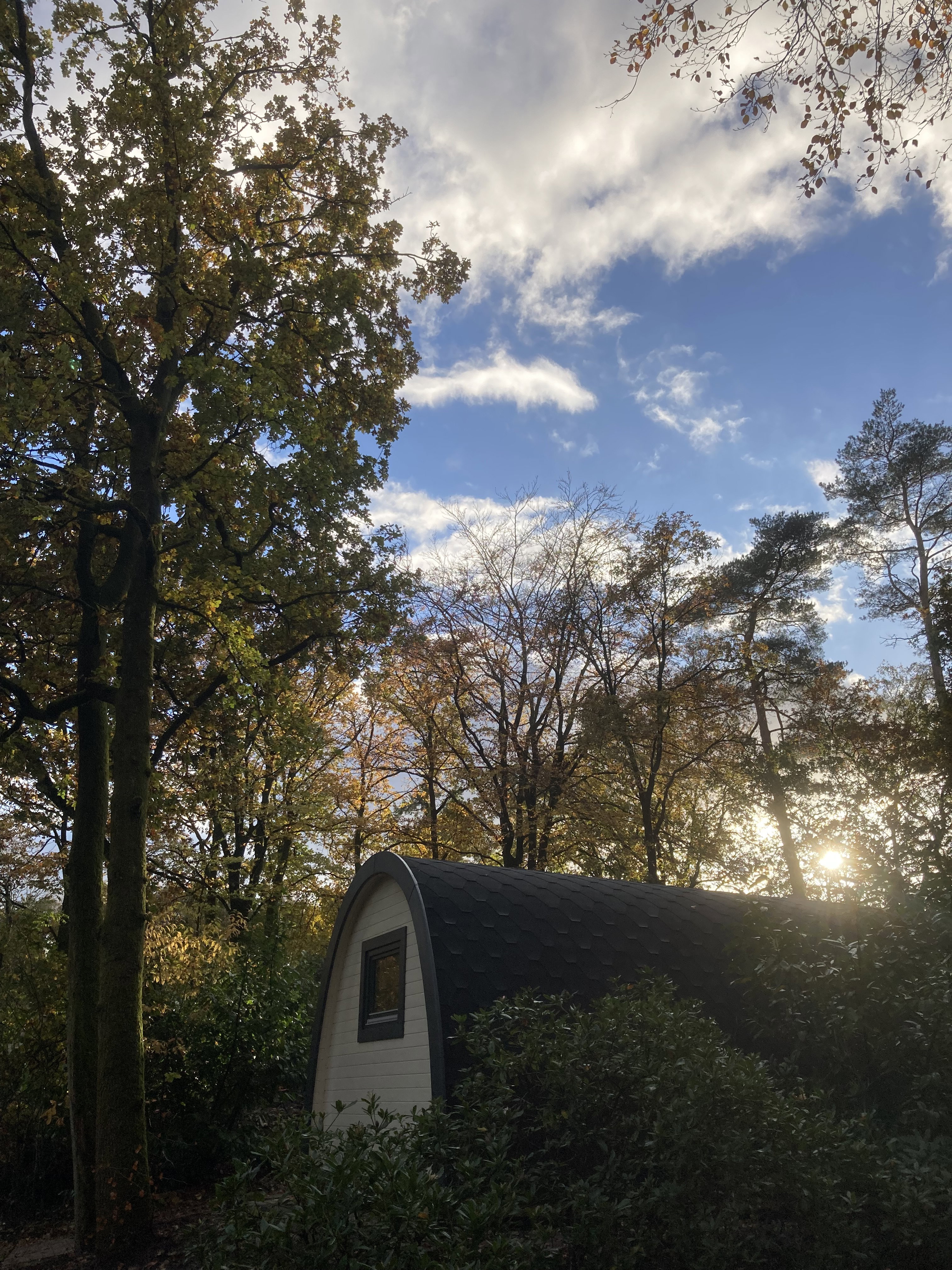 Natuurhuisje in Ermelo