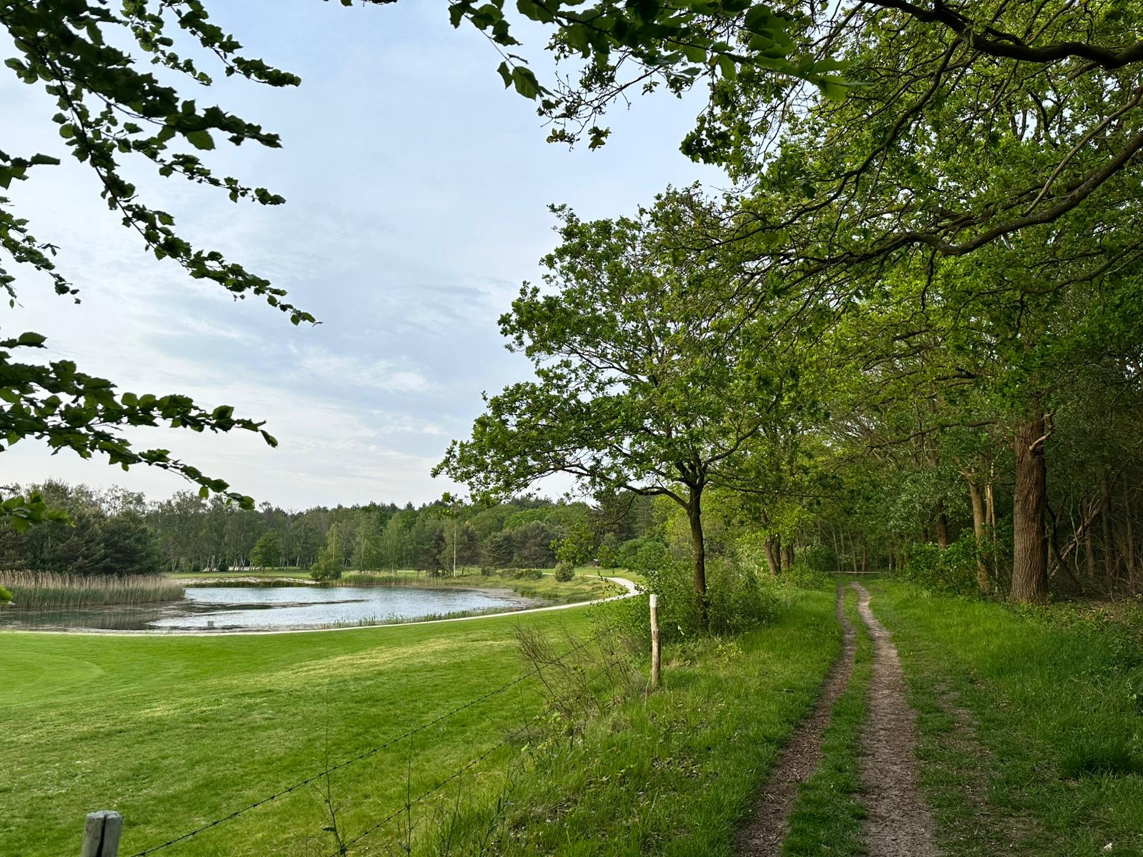 - image: 19