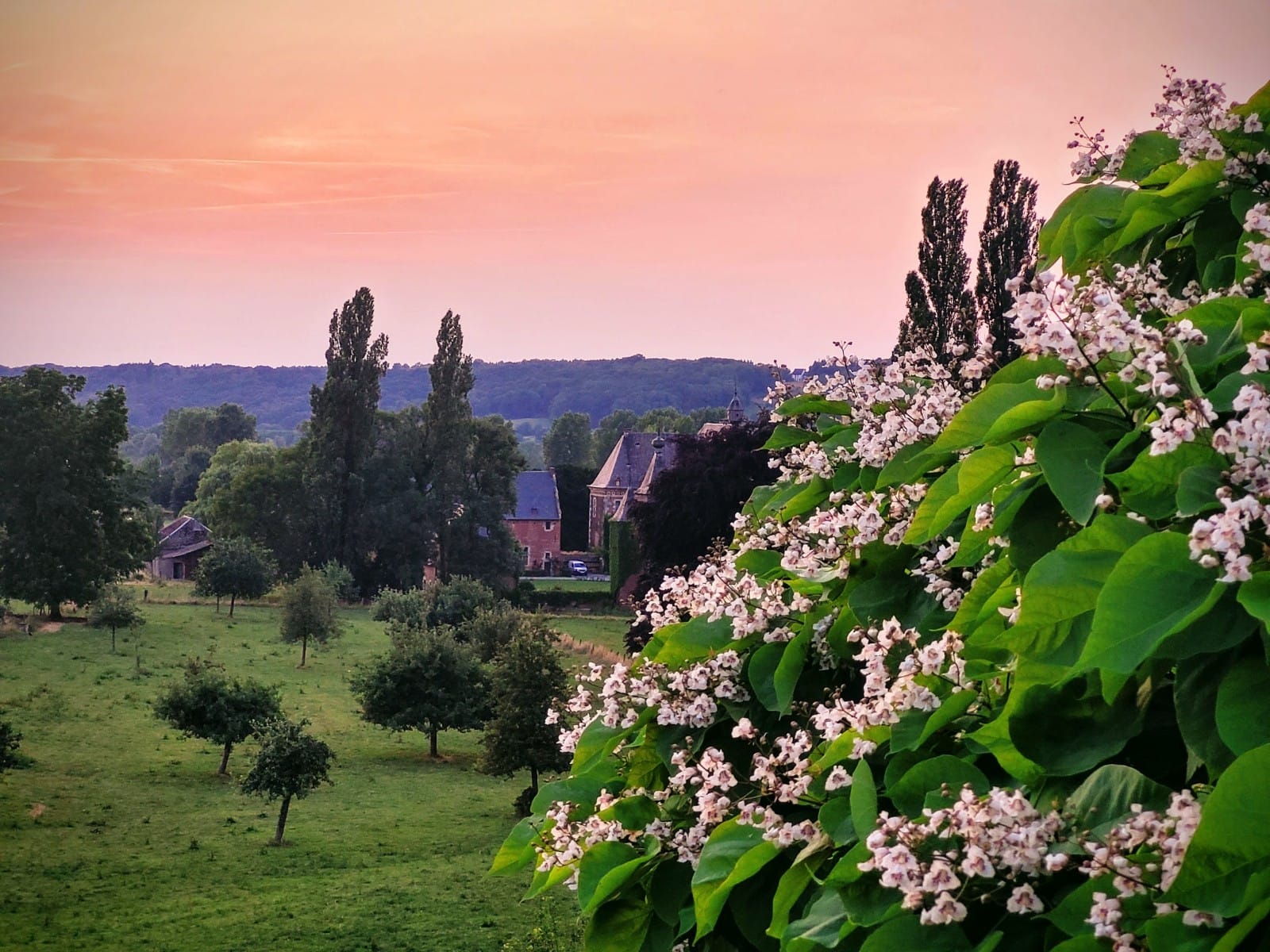 Natuurhuisje in St.-Pieters-Voeren