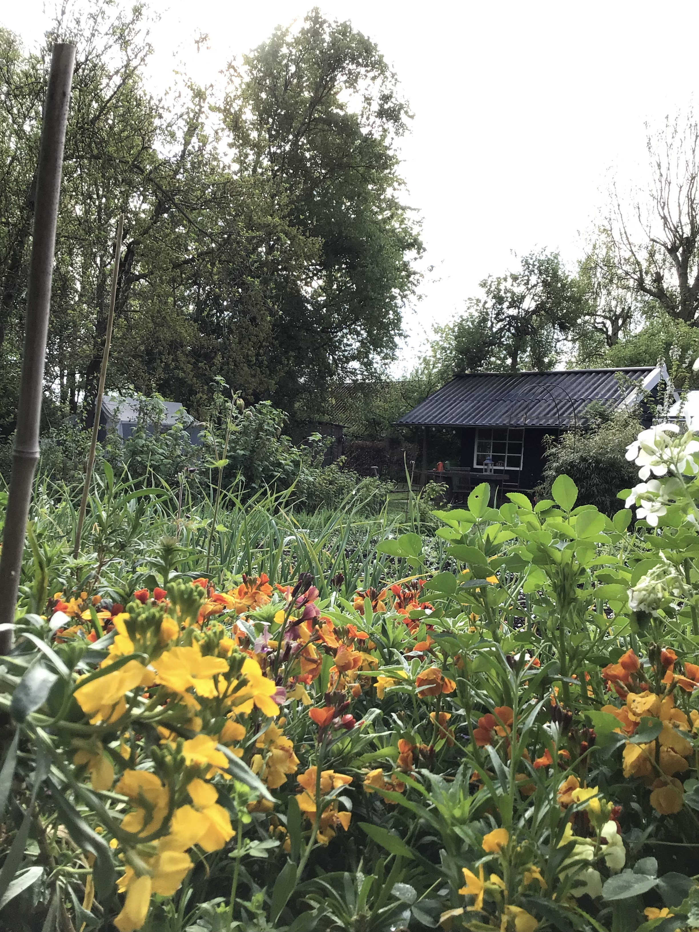 Casa nella natura a Kockengen