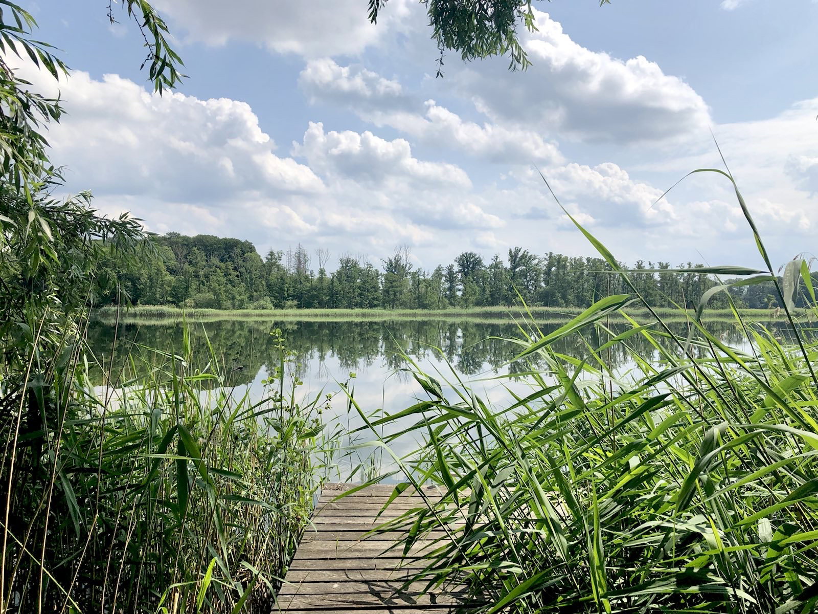 Natuurhuisje in Kloster-Tempzin OT Häven