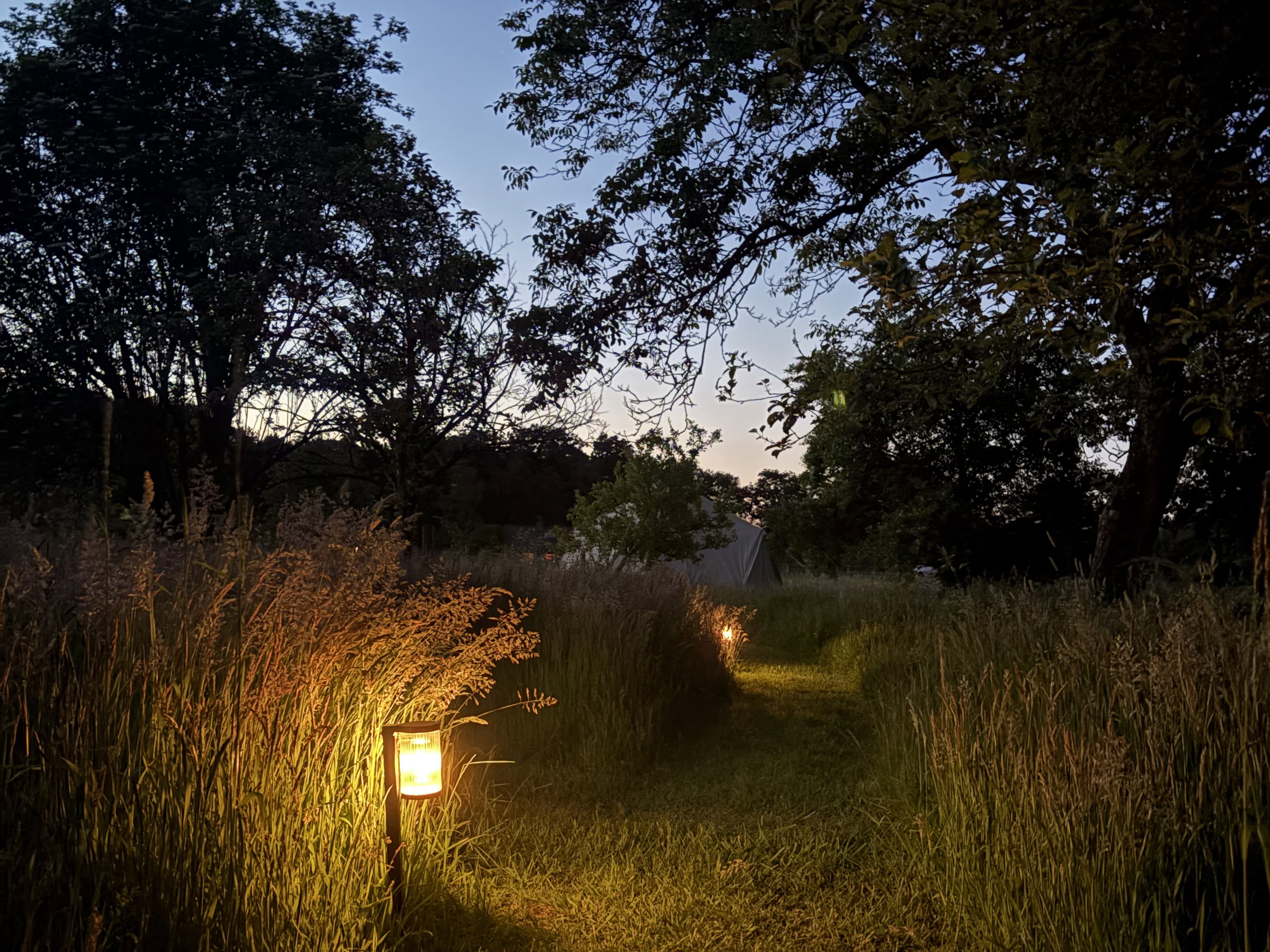 Natuurhuisje in Vorden