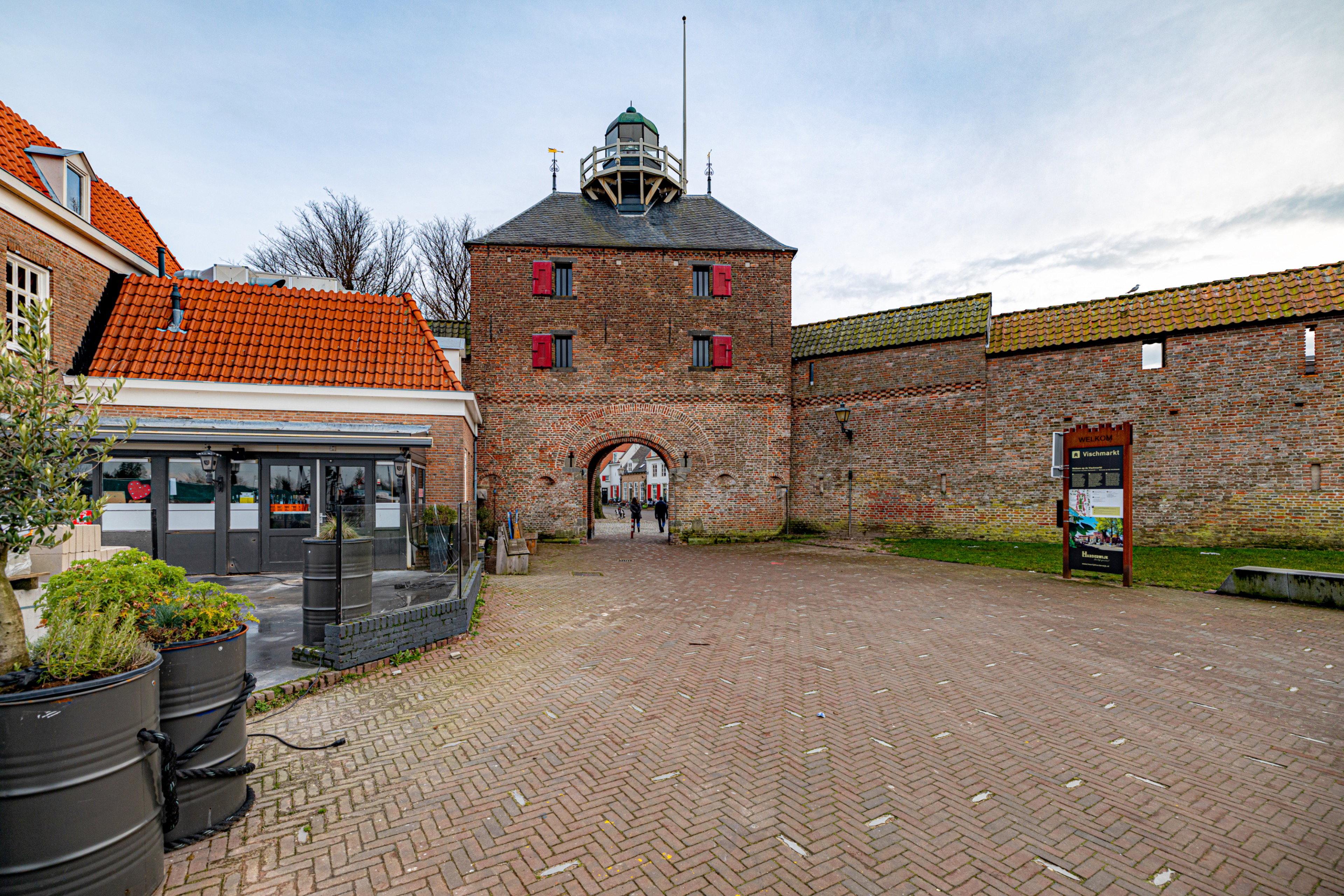 - image: 11