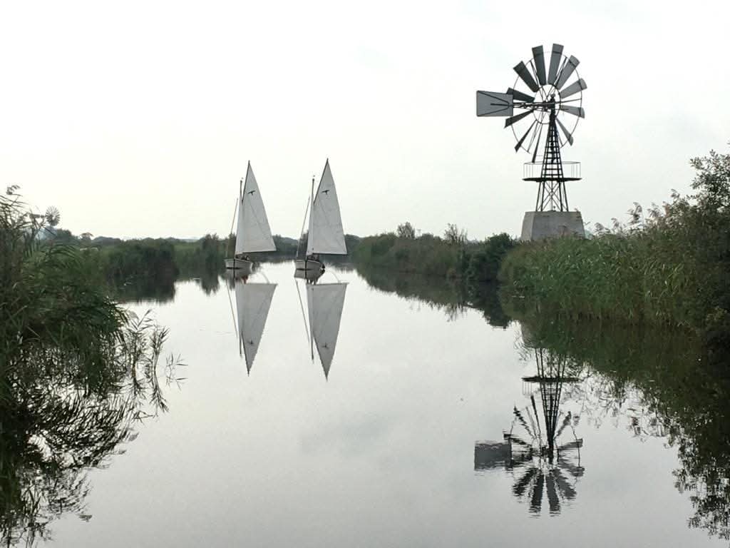 - image: 13