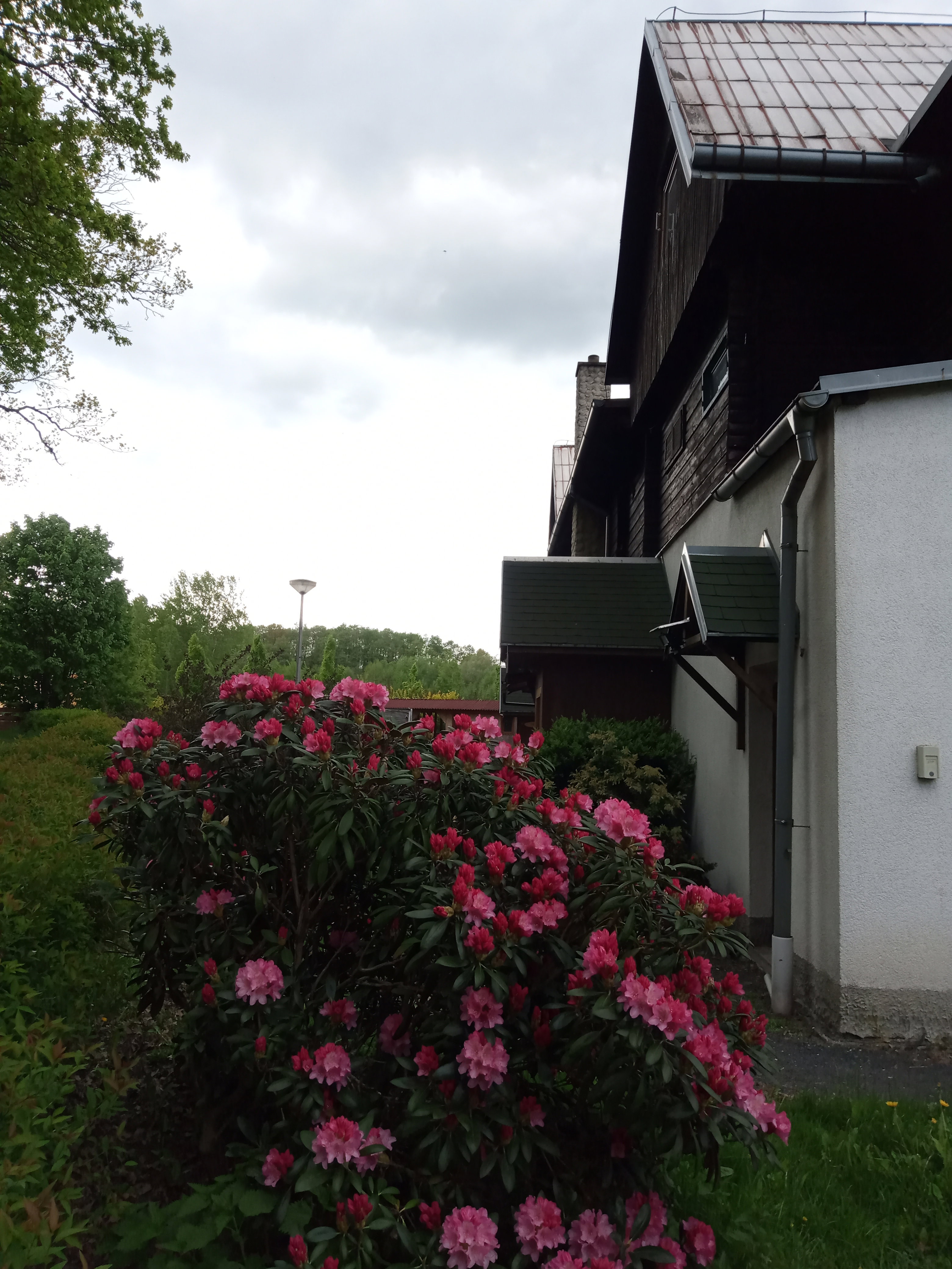 - image: 16