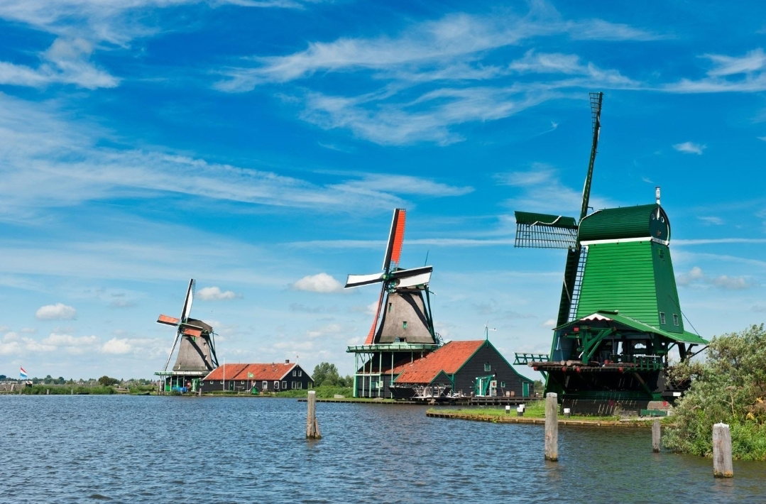 - image: 25