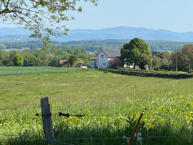 Nature house in cronat