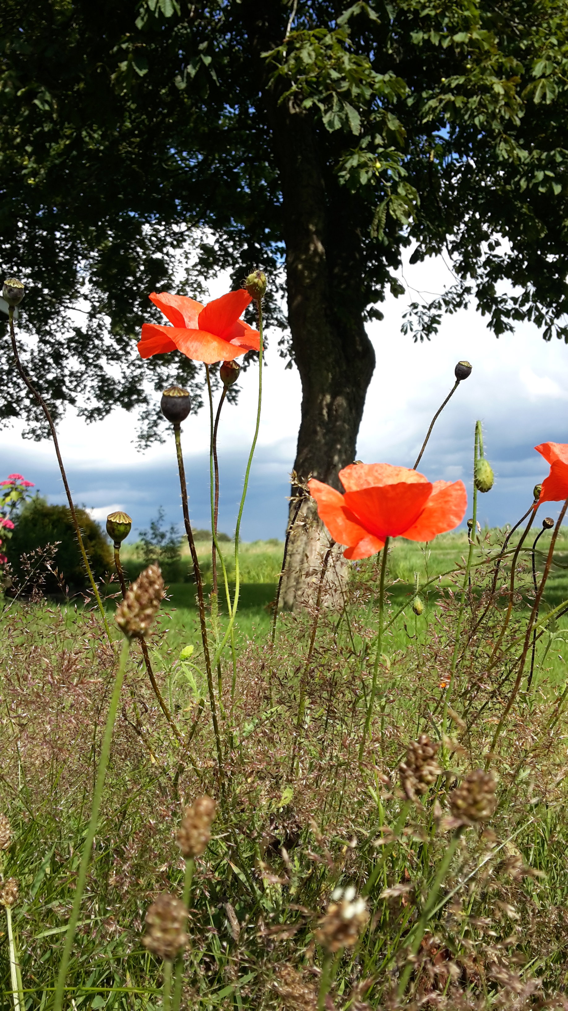 Casa nella natura a De Veenhoop