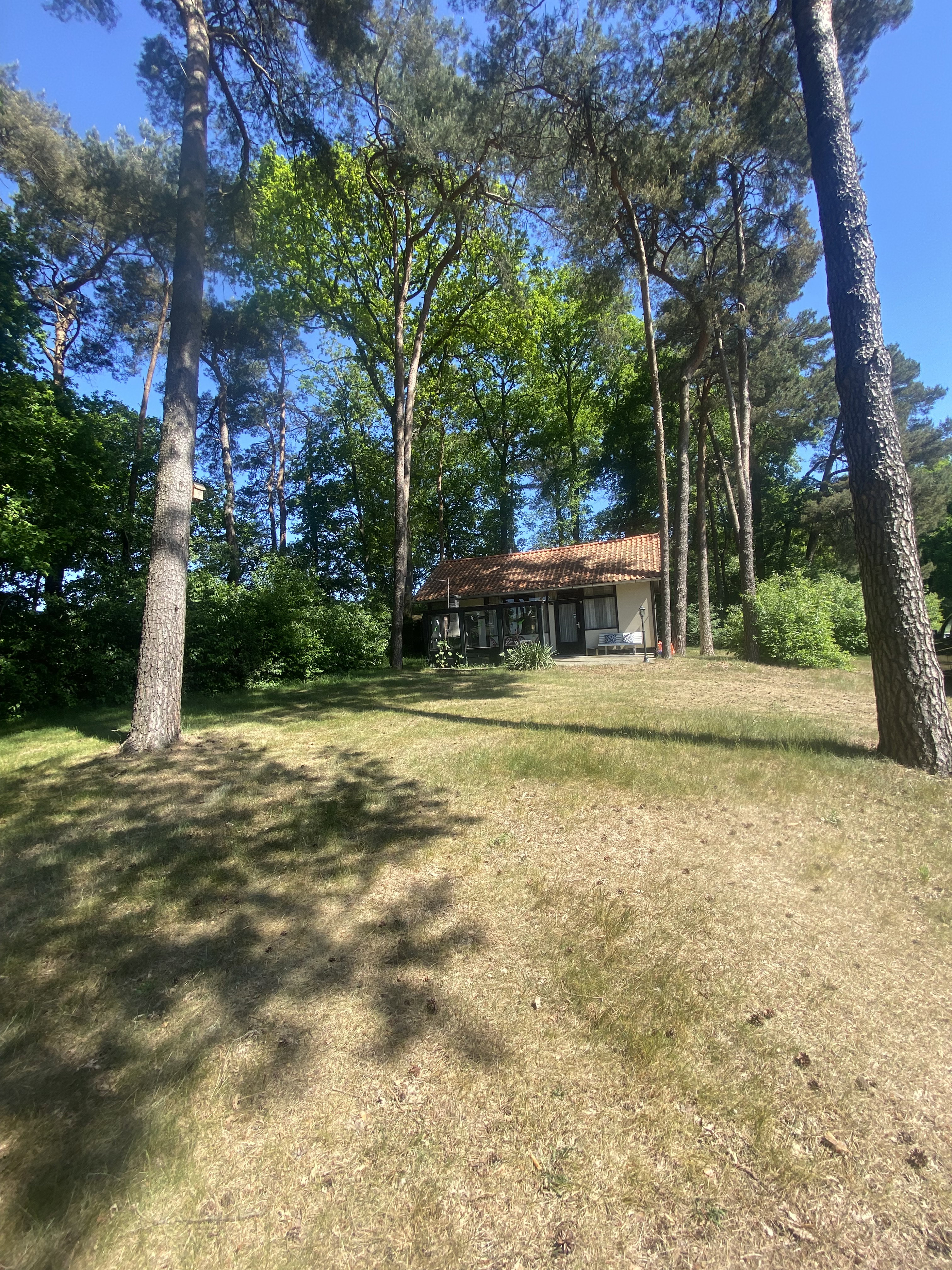 - image: 1