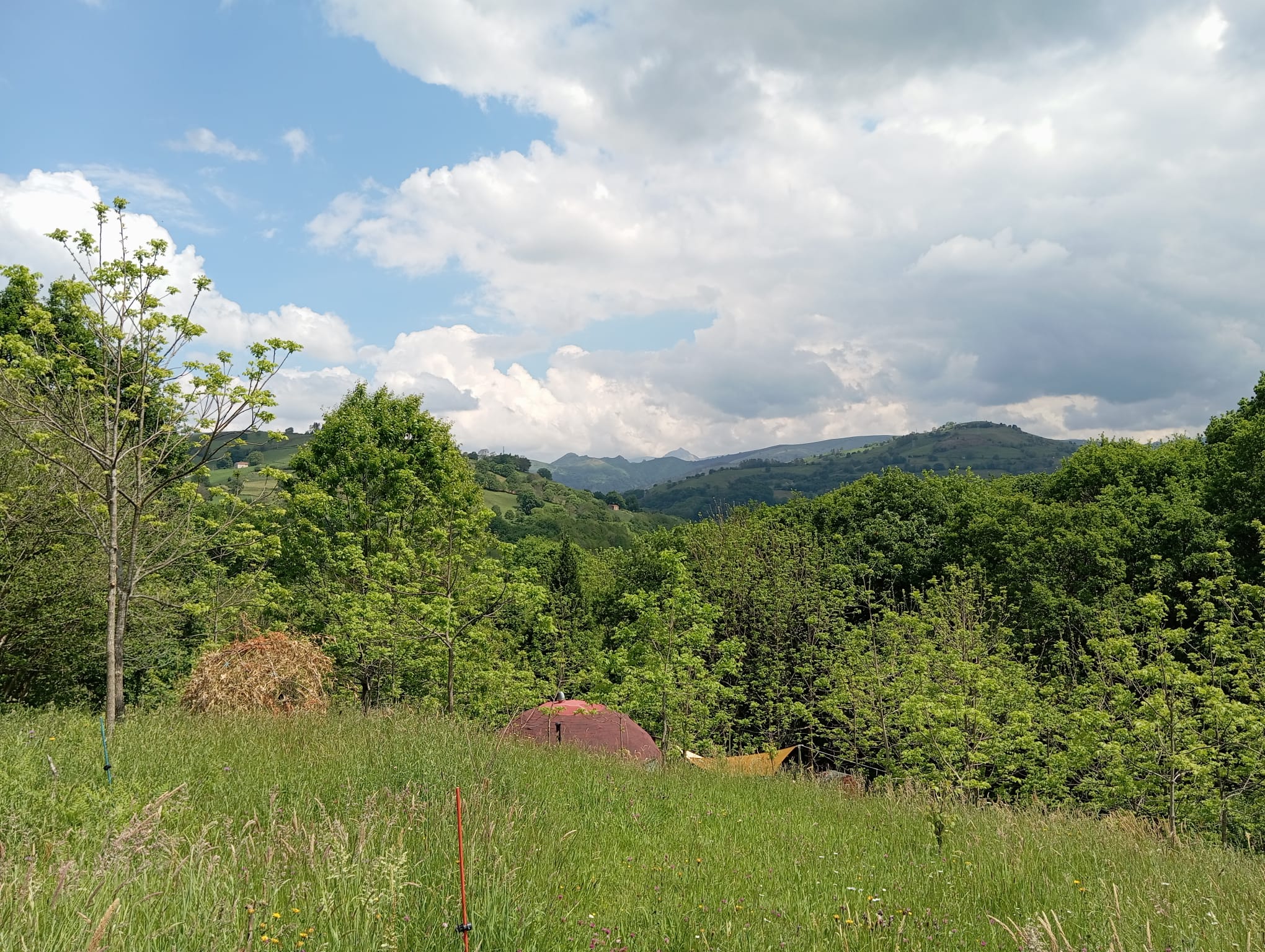 Maison nature à Vega de Villafufre