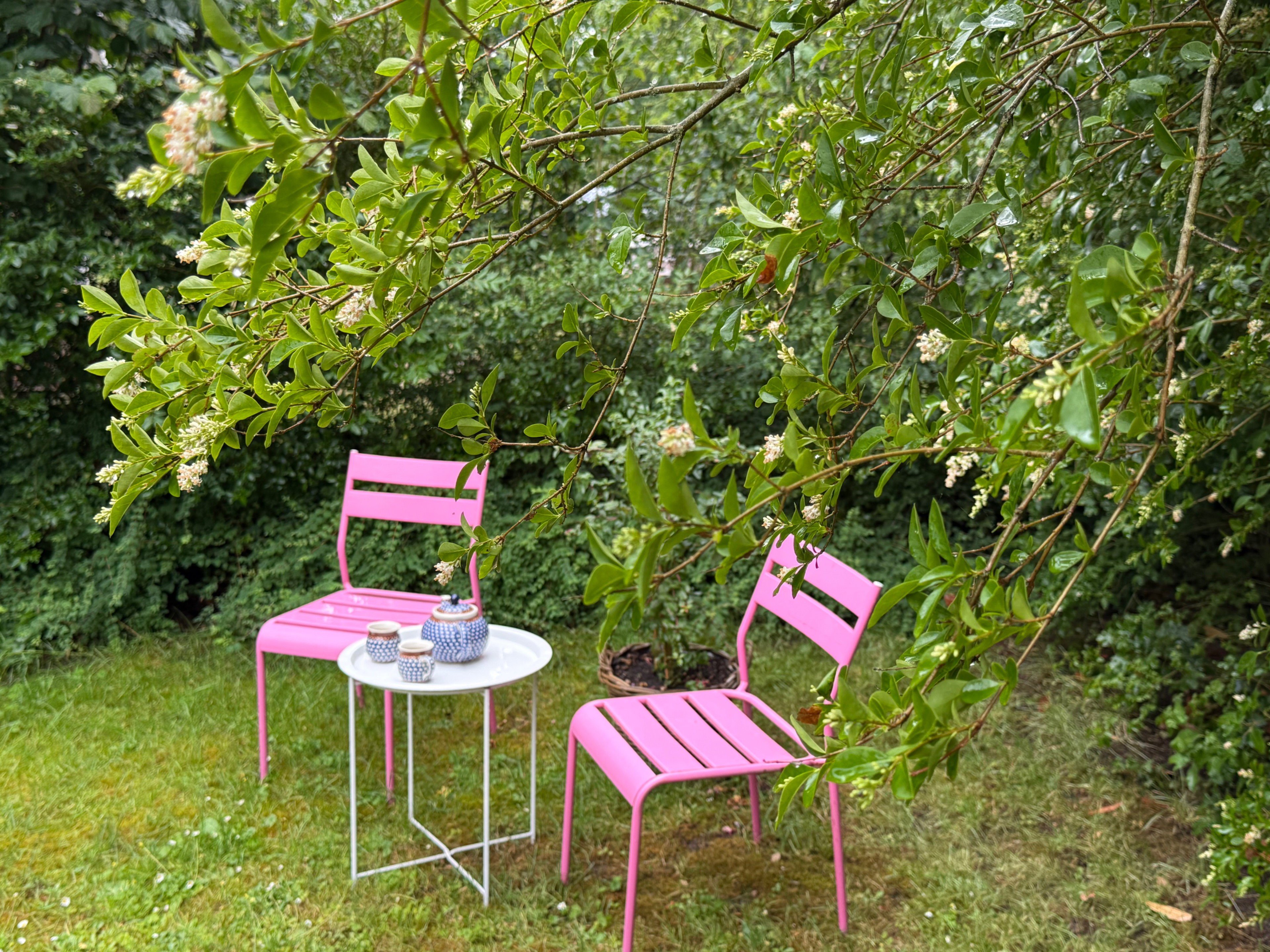 Natuurhuisje in Neede