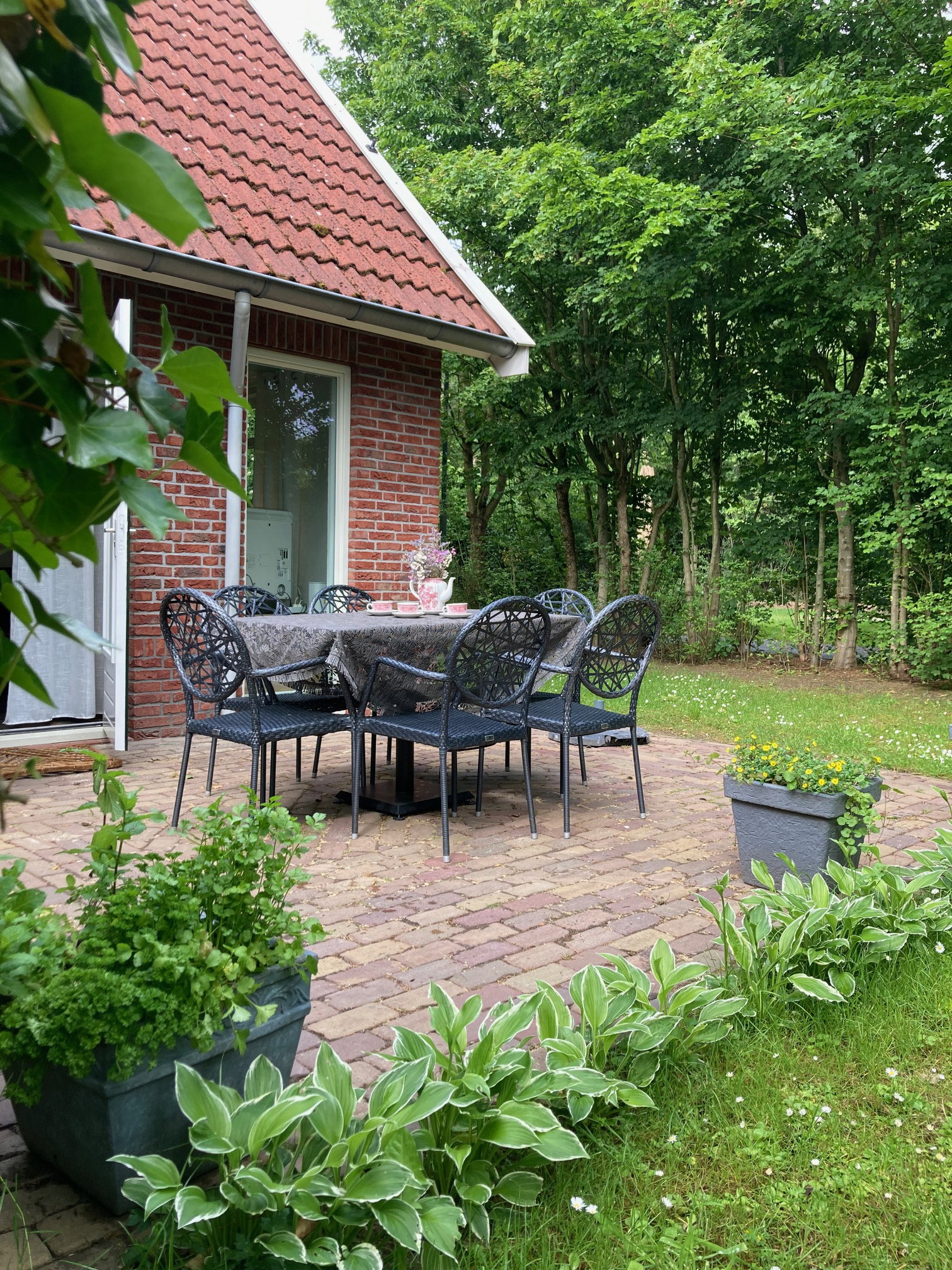 Natuurhuisje in Neede