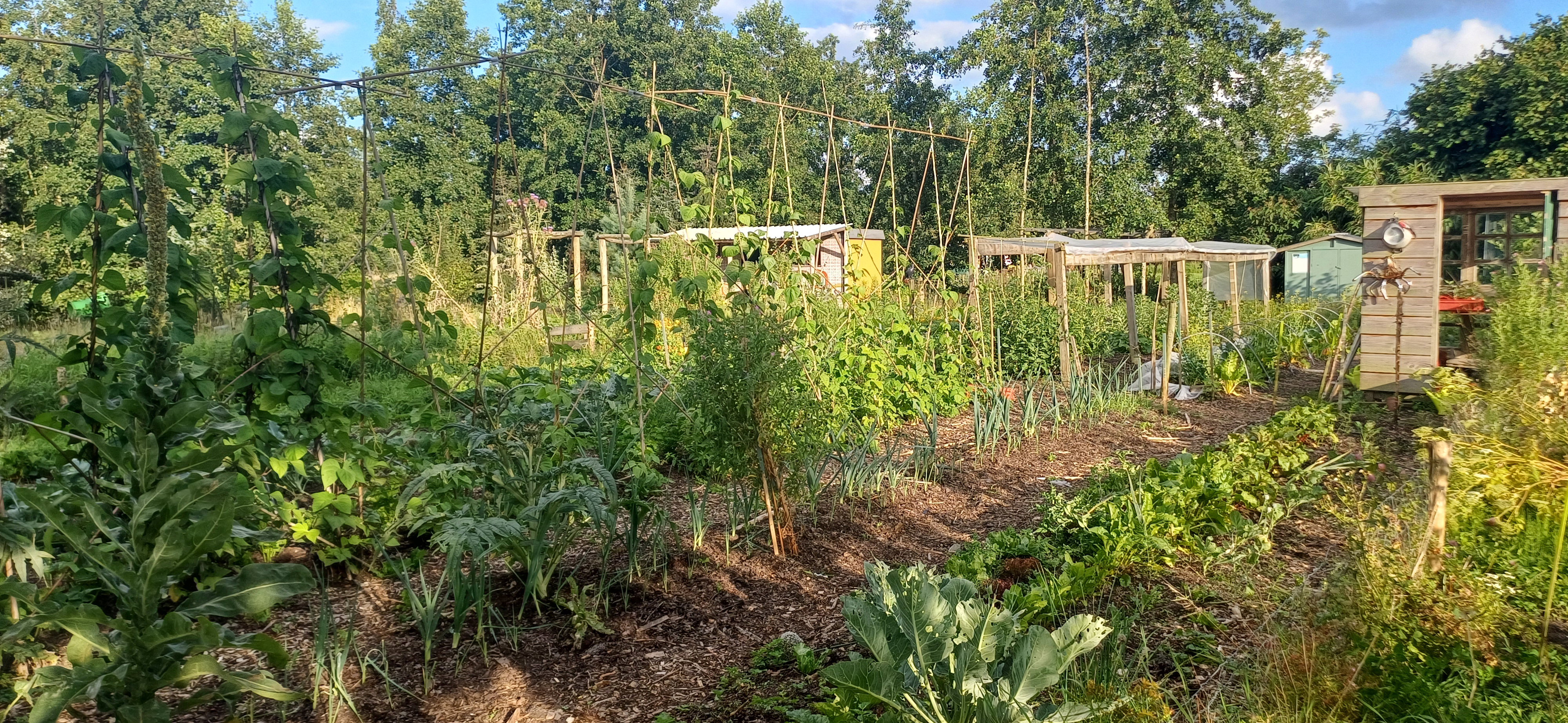 Casa nella natura a Noardburgum