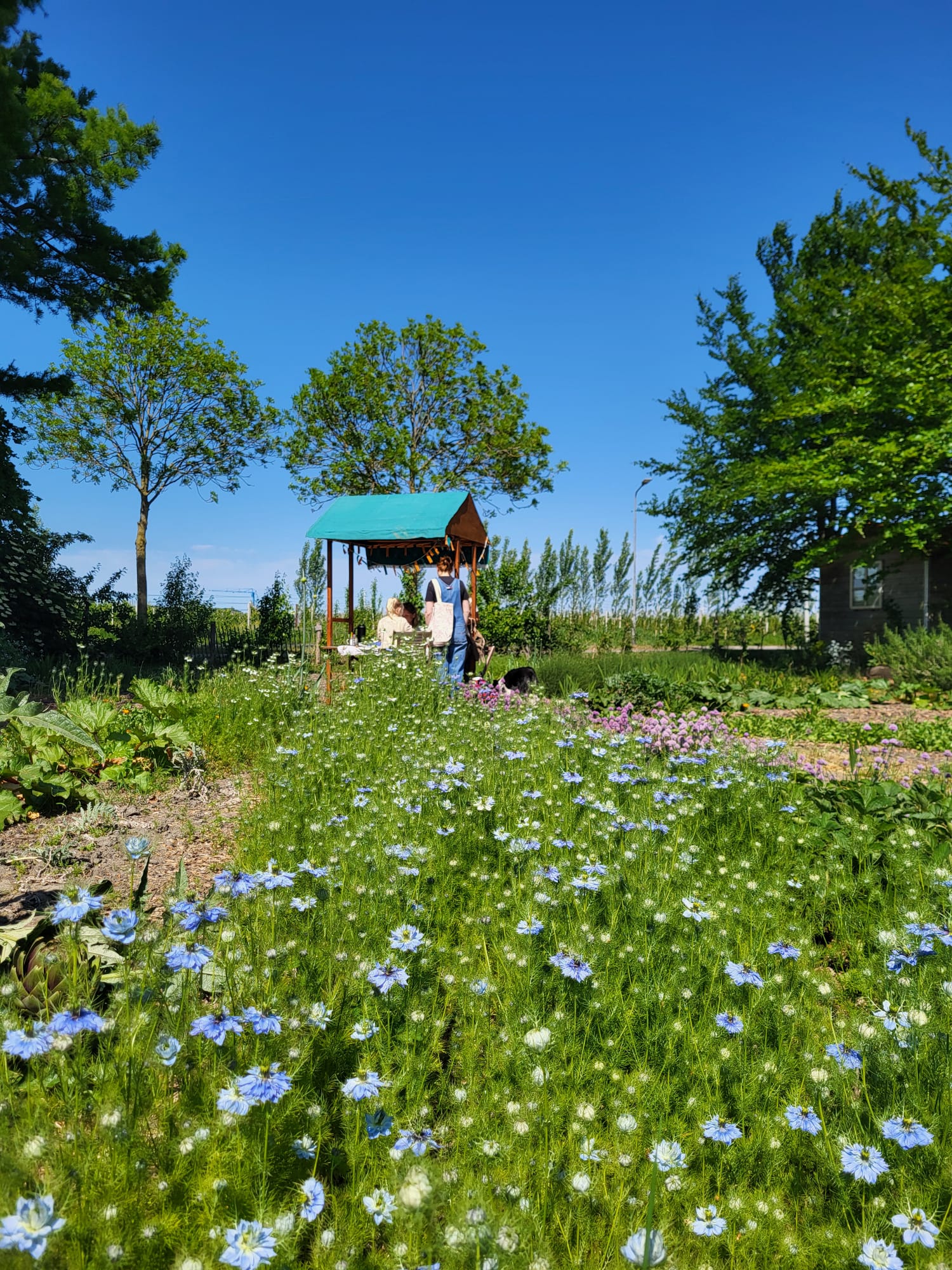 Casa nella natura a Rilland