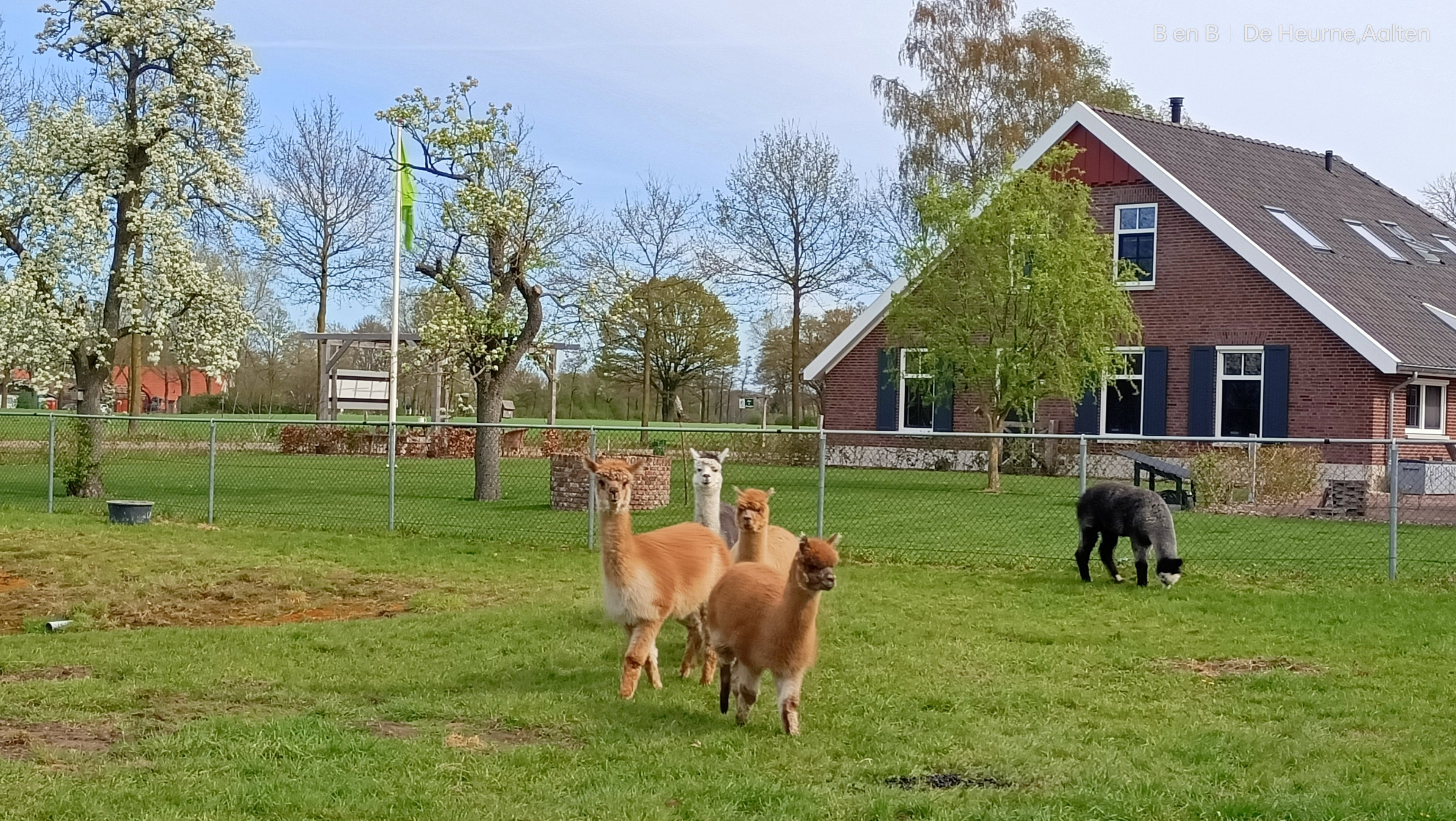 Natuurhuisje in De Heurne