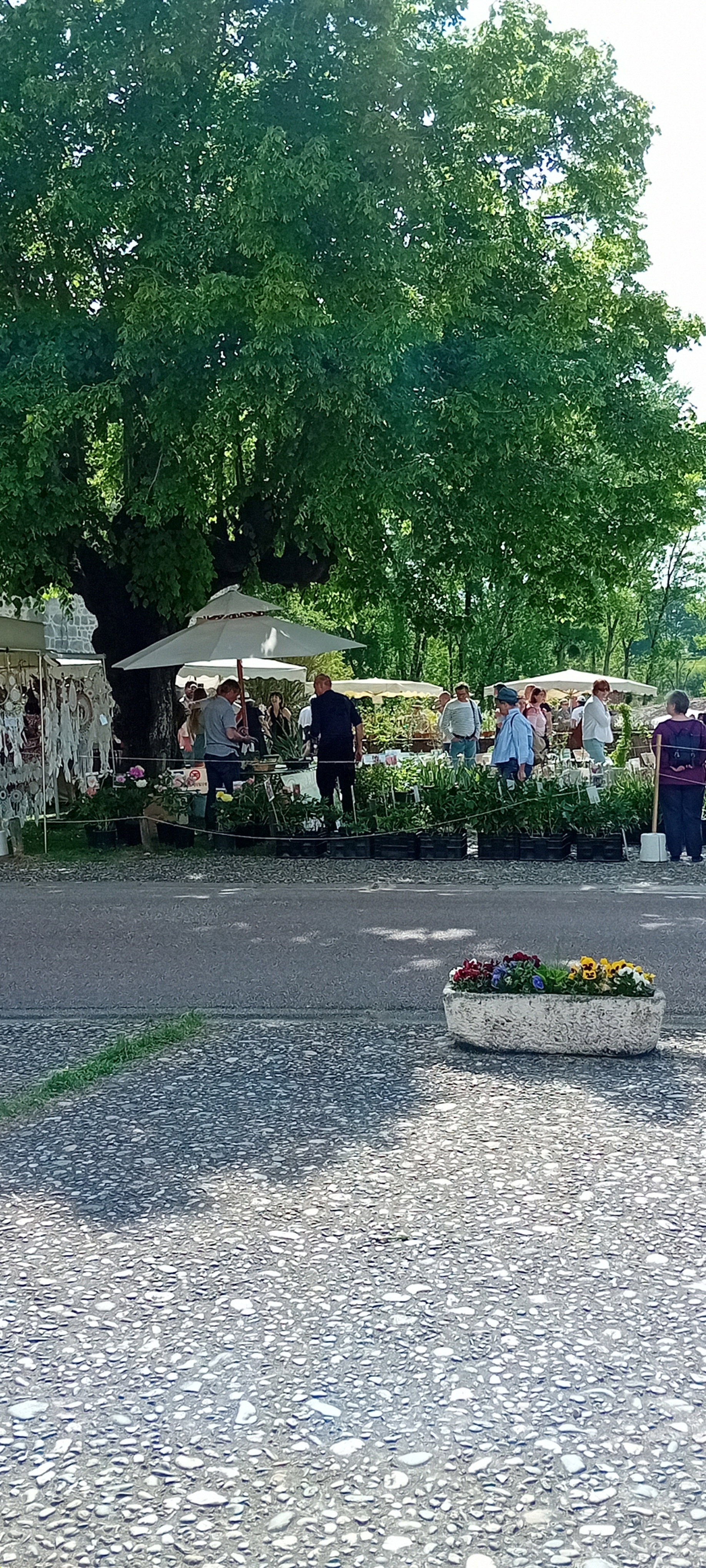 - image: 25