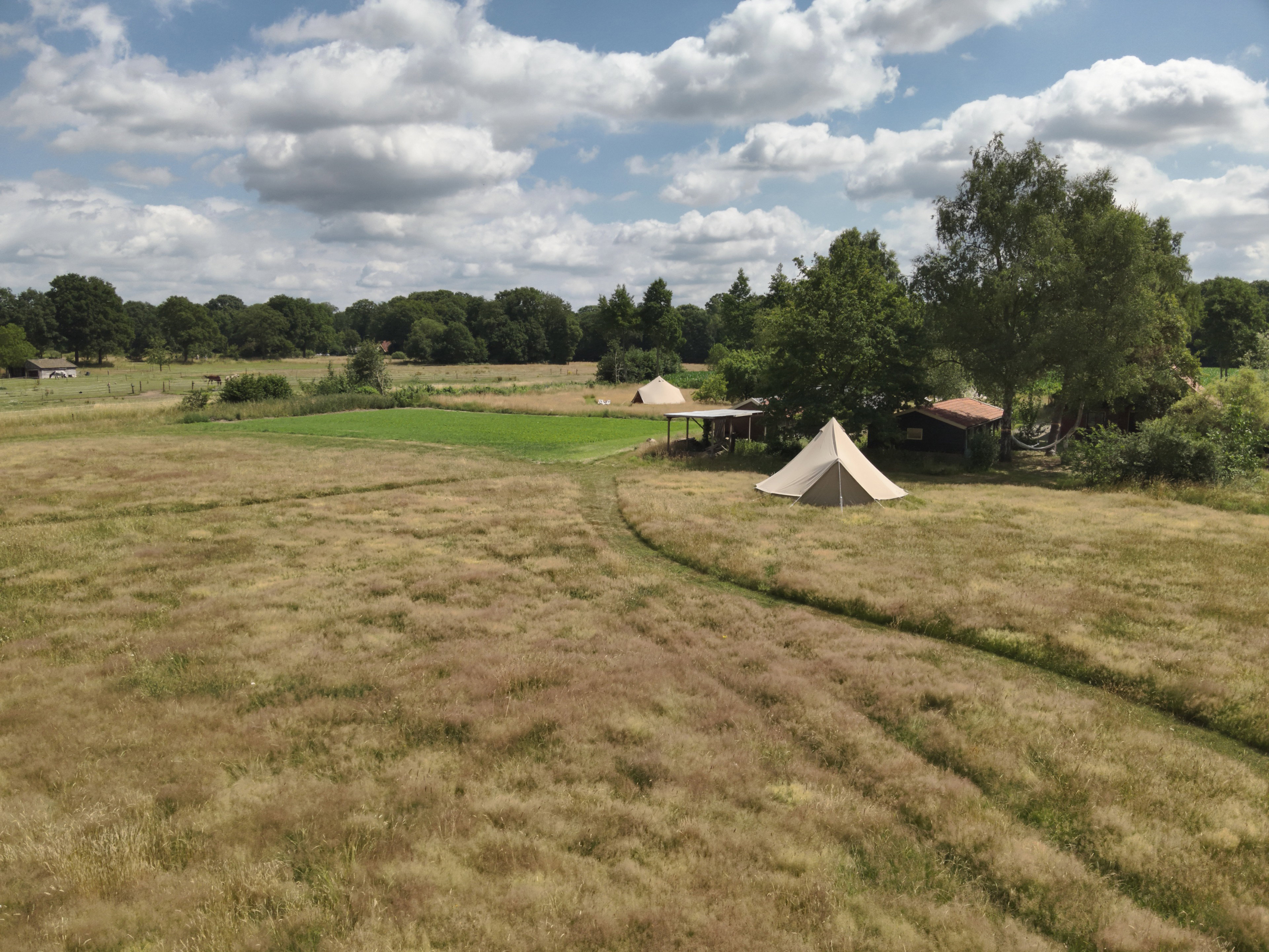 Natuurhuisje in Vorden