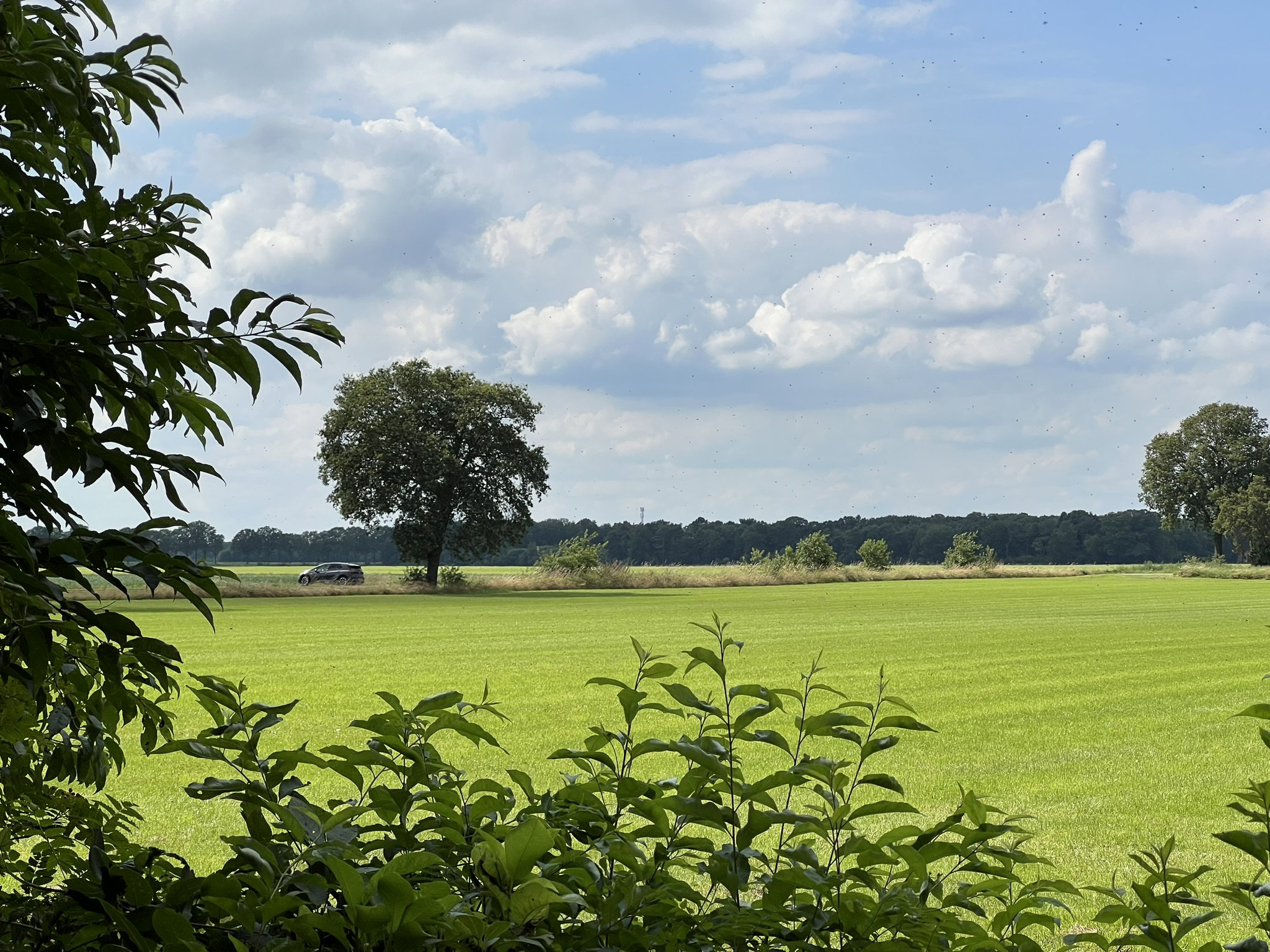 - image: 12