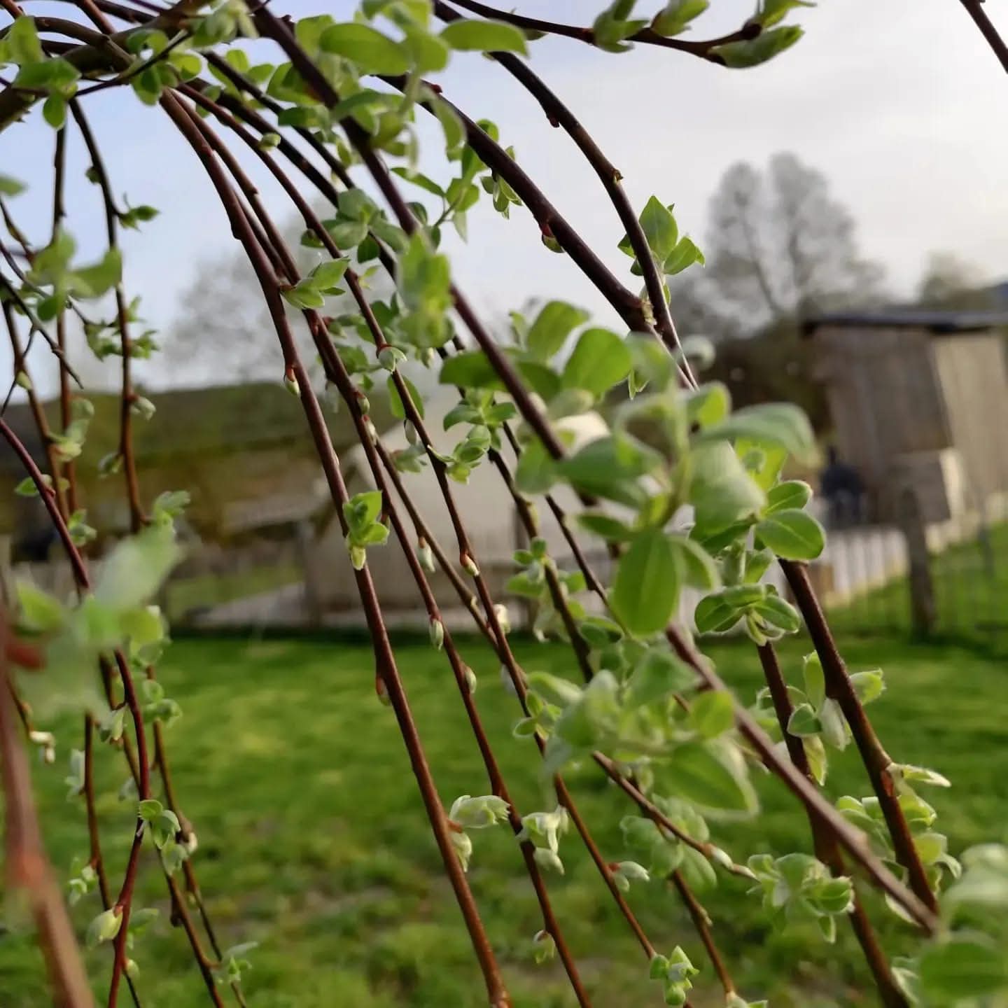 Nature house in Lierneux
