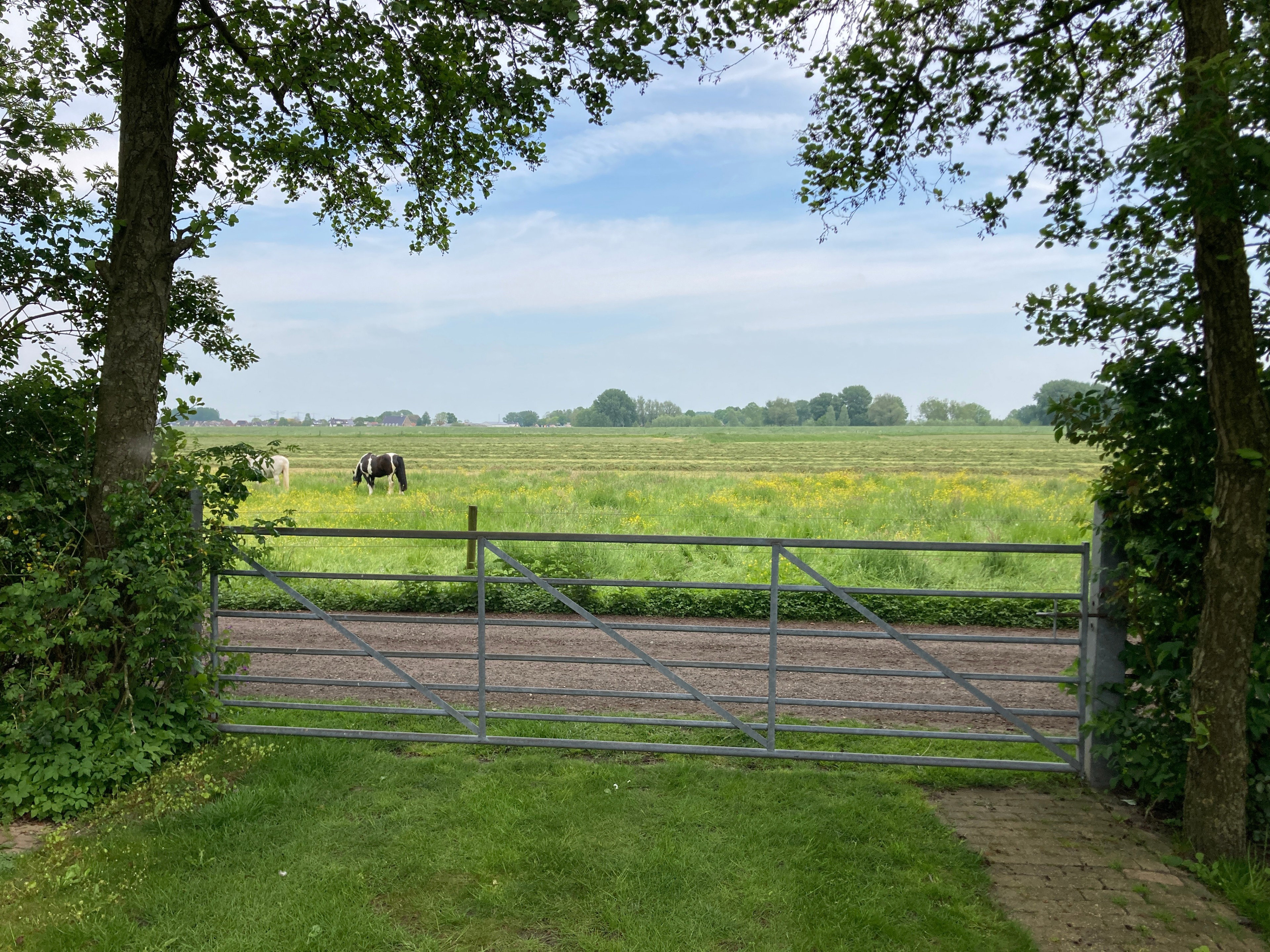 Casa nella natura a IJsselmuiden