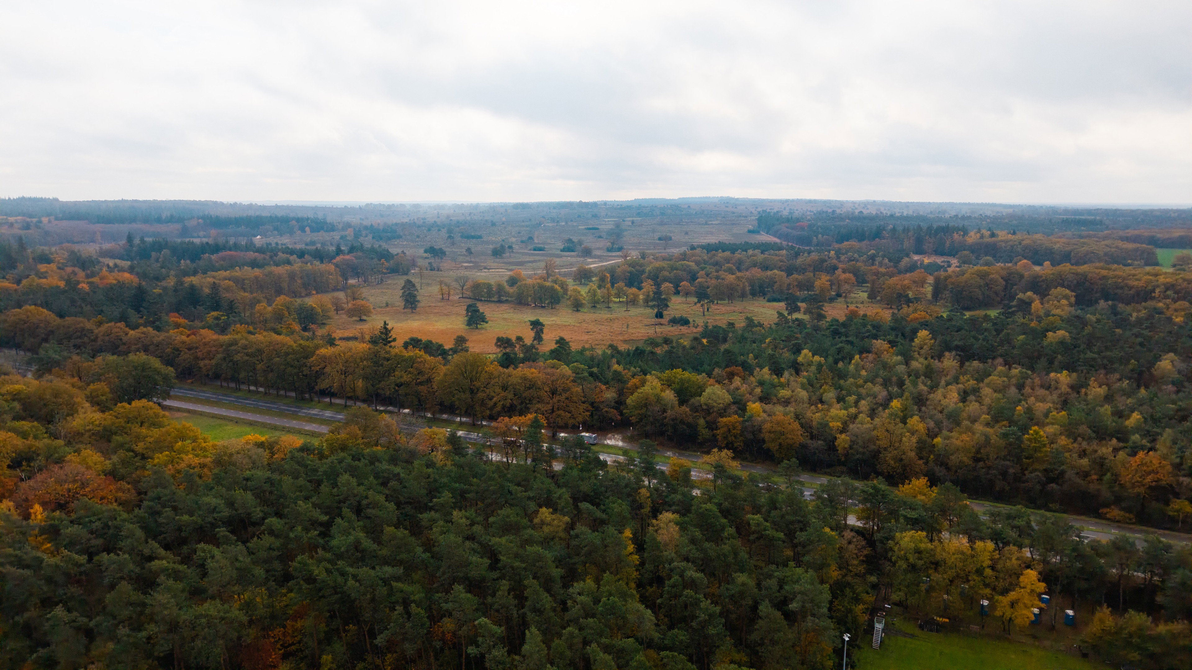 Natuurhuisje in Haarle