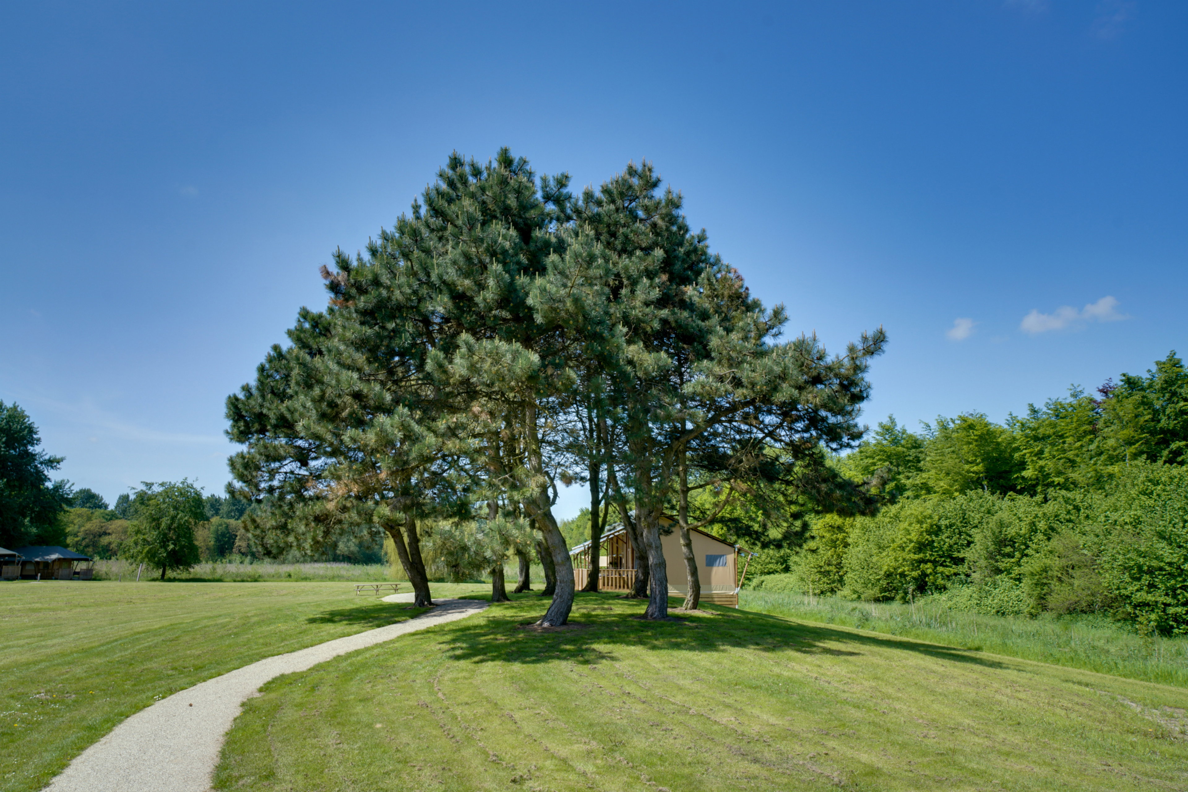 Maison nature à Zeewolde