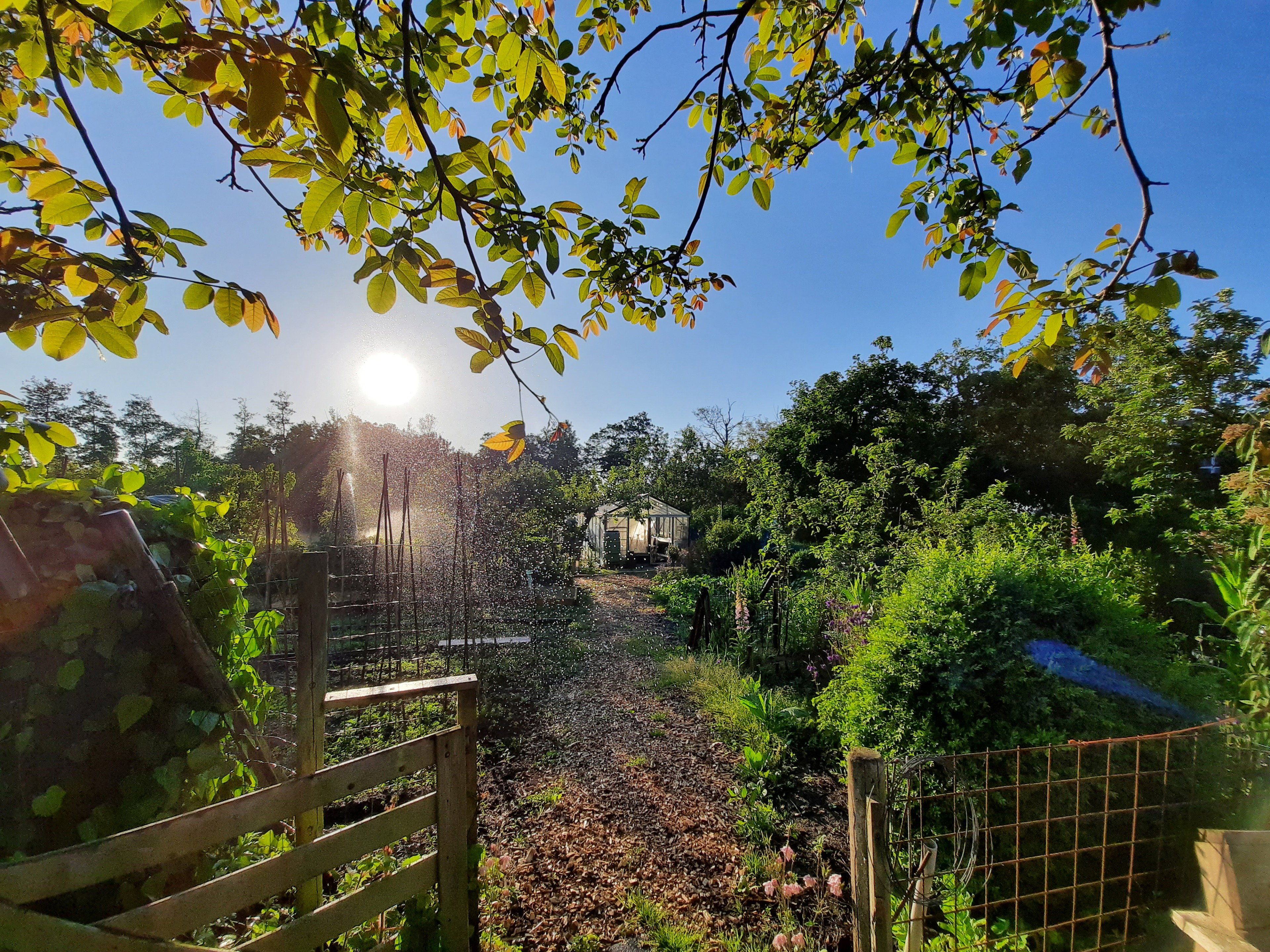 Casa nella natura a Eenrum