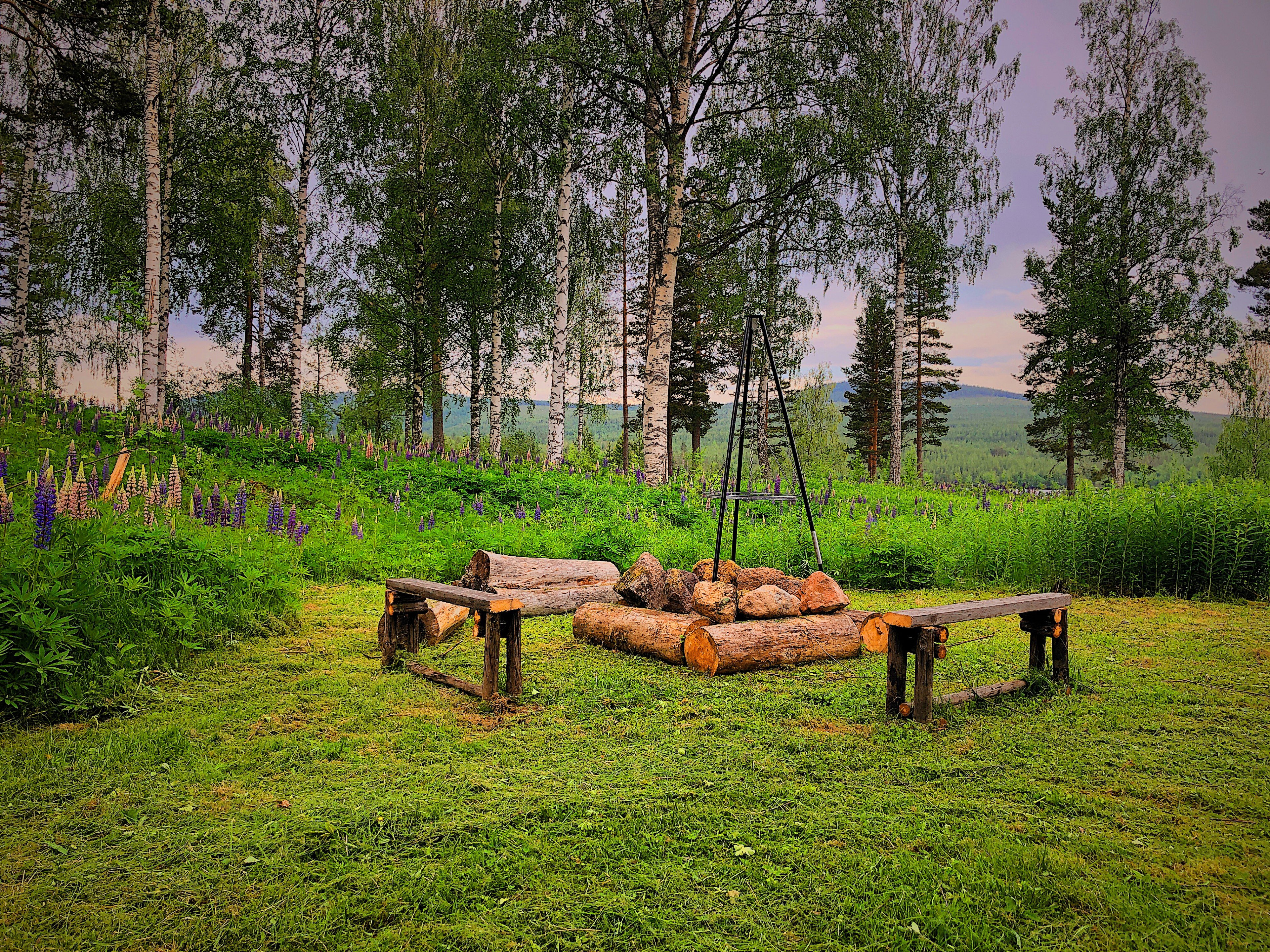 Natuurhuisje in Ytterhogdal