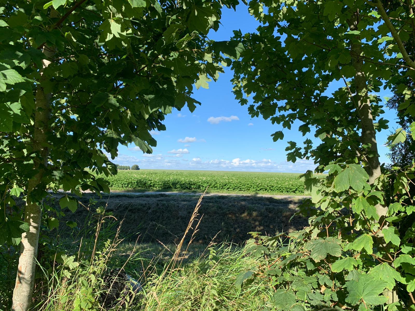 Naturhäuschen in Bierum