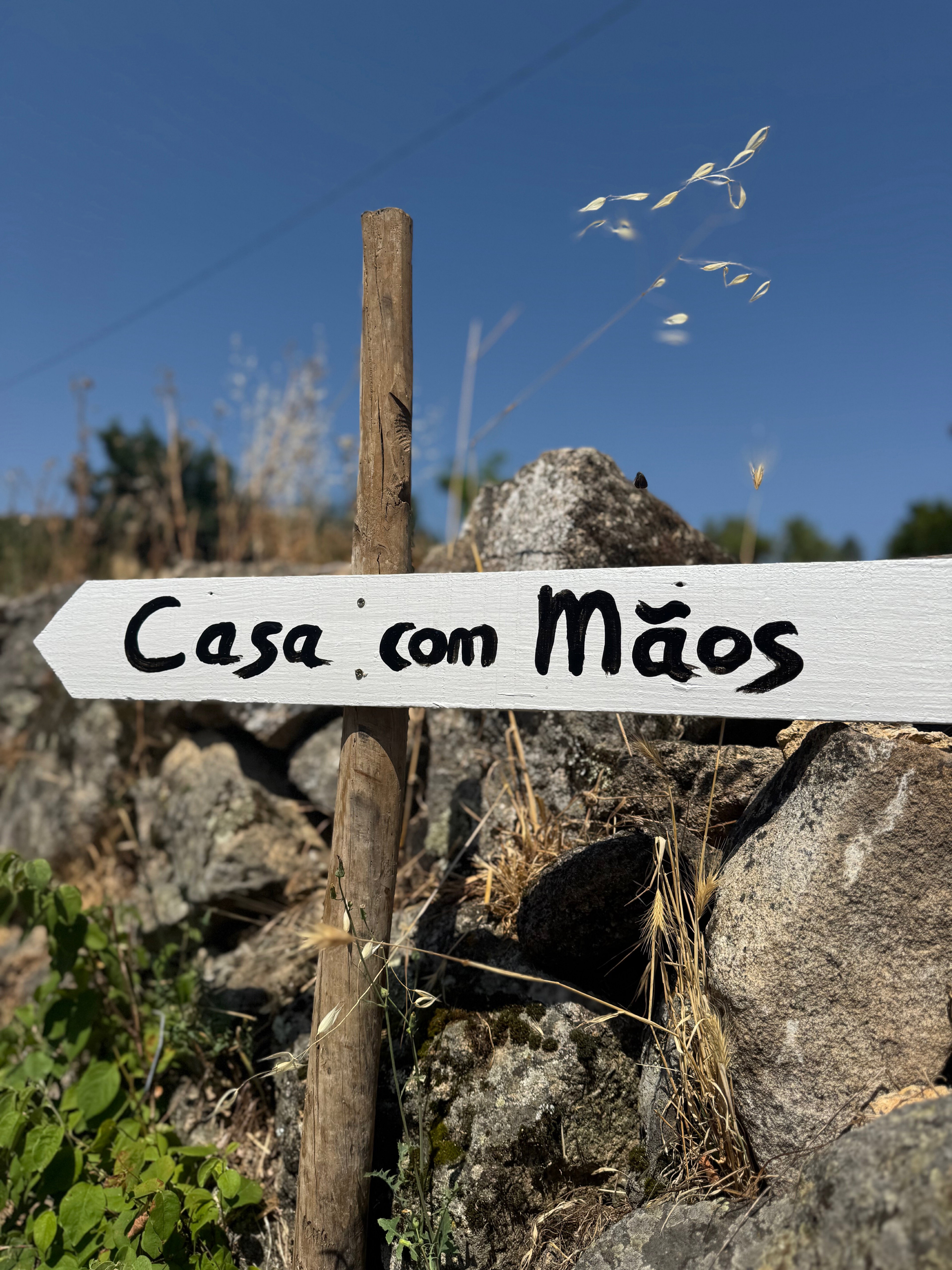 - image: 29