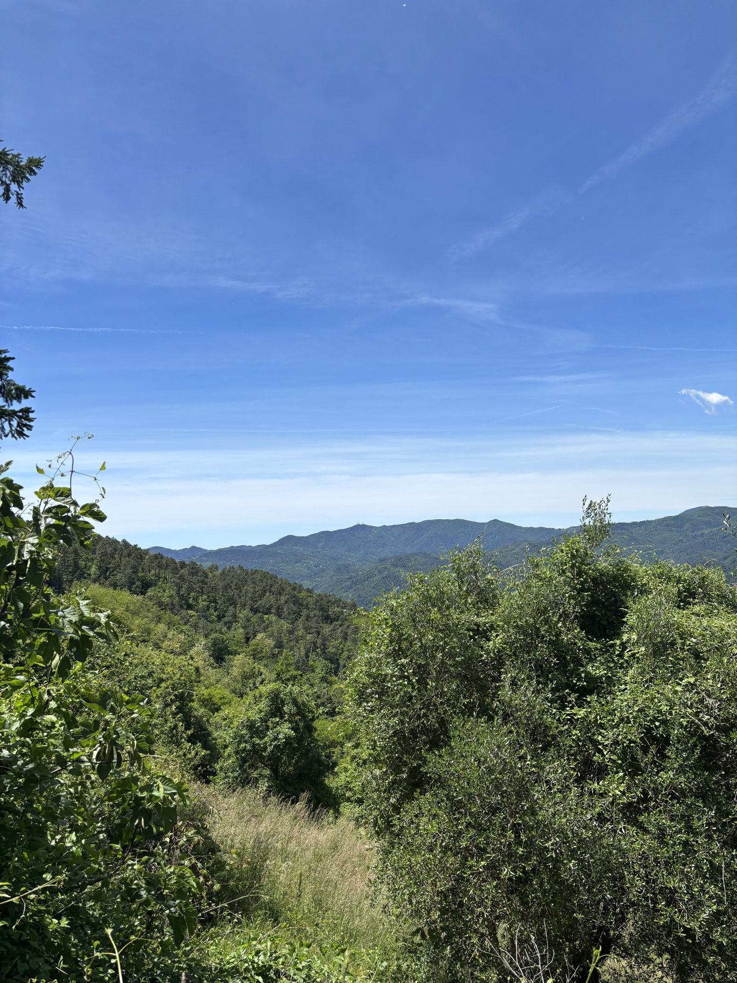 Casa nella natura a Sesta Godano