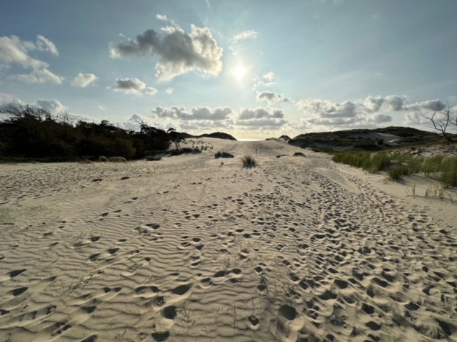 - image: 16