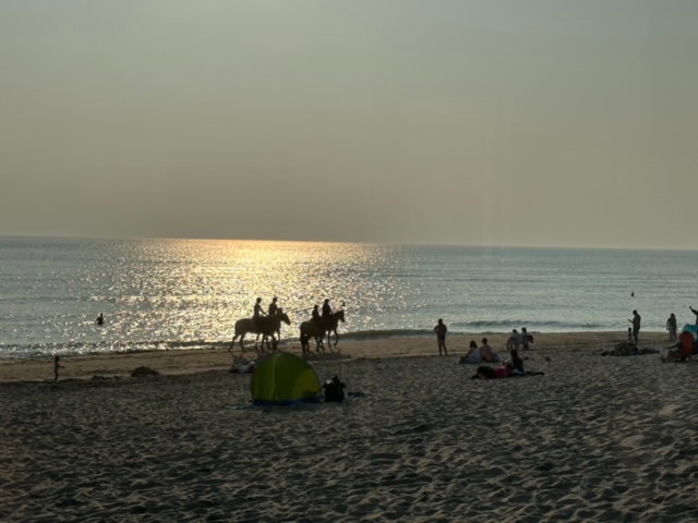 - image: 14