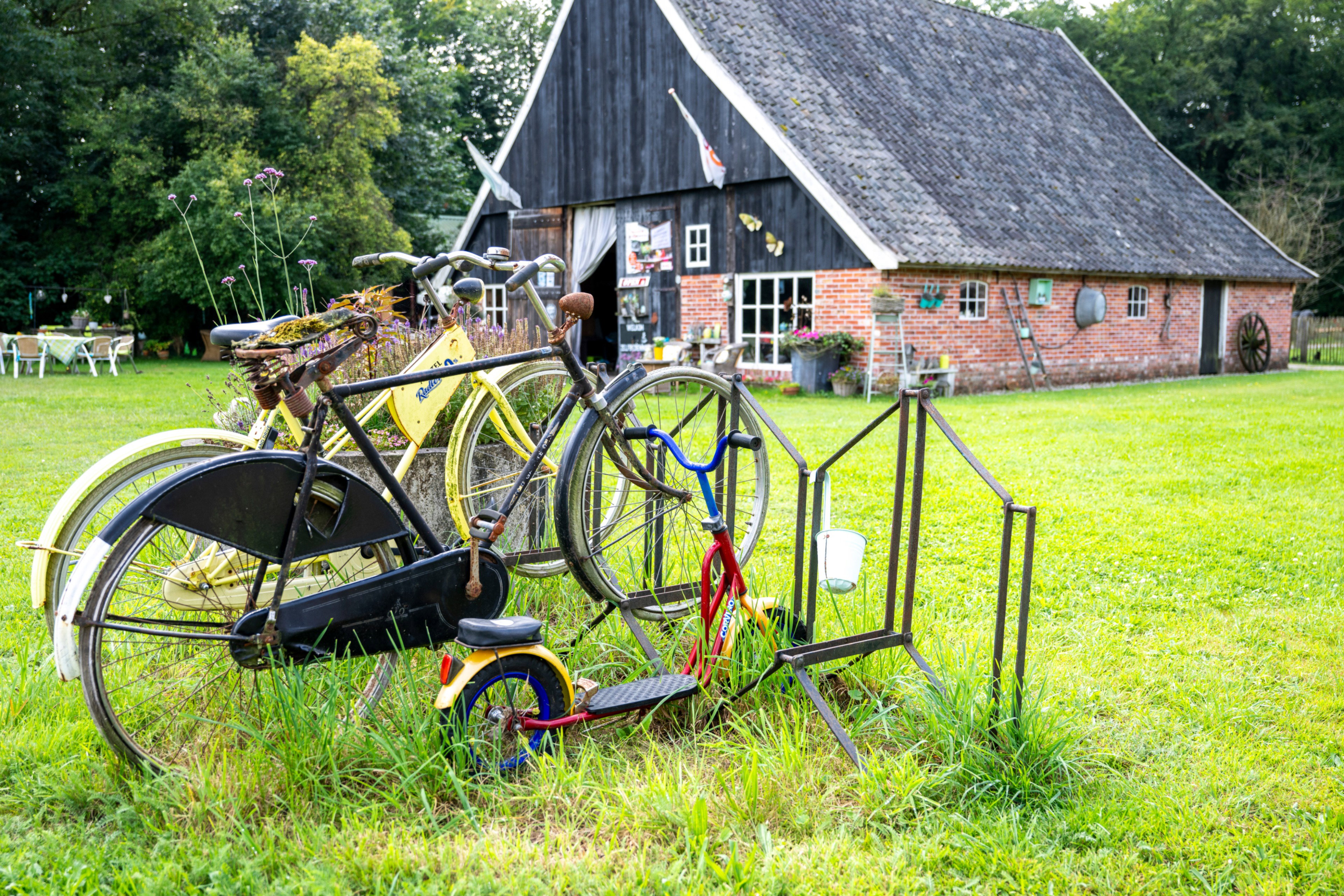 Casa nella natura a Winterswijk Henxel
