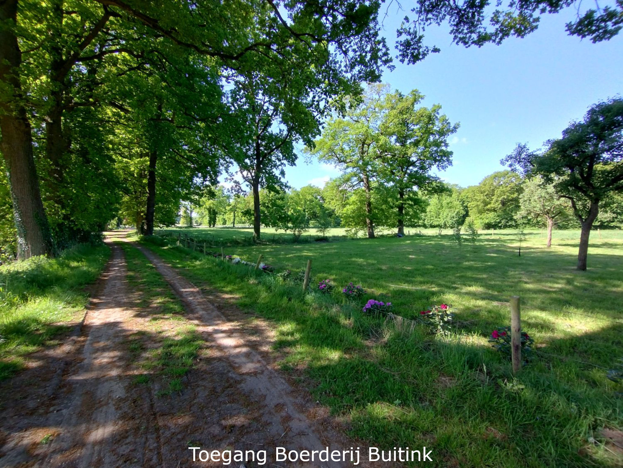Natuurhuisje in Winterswijk Kotten
