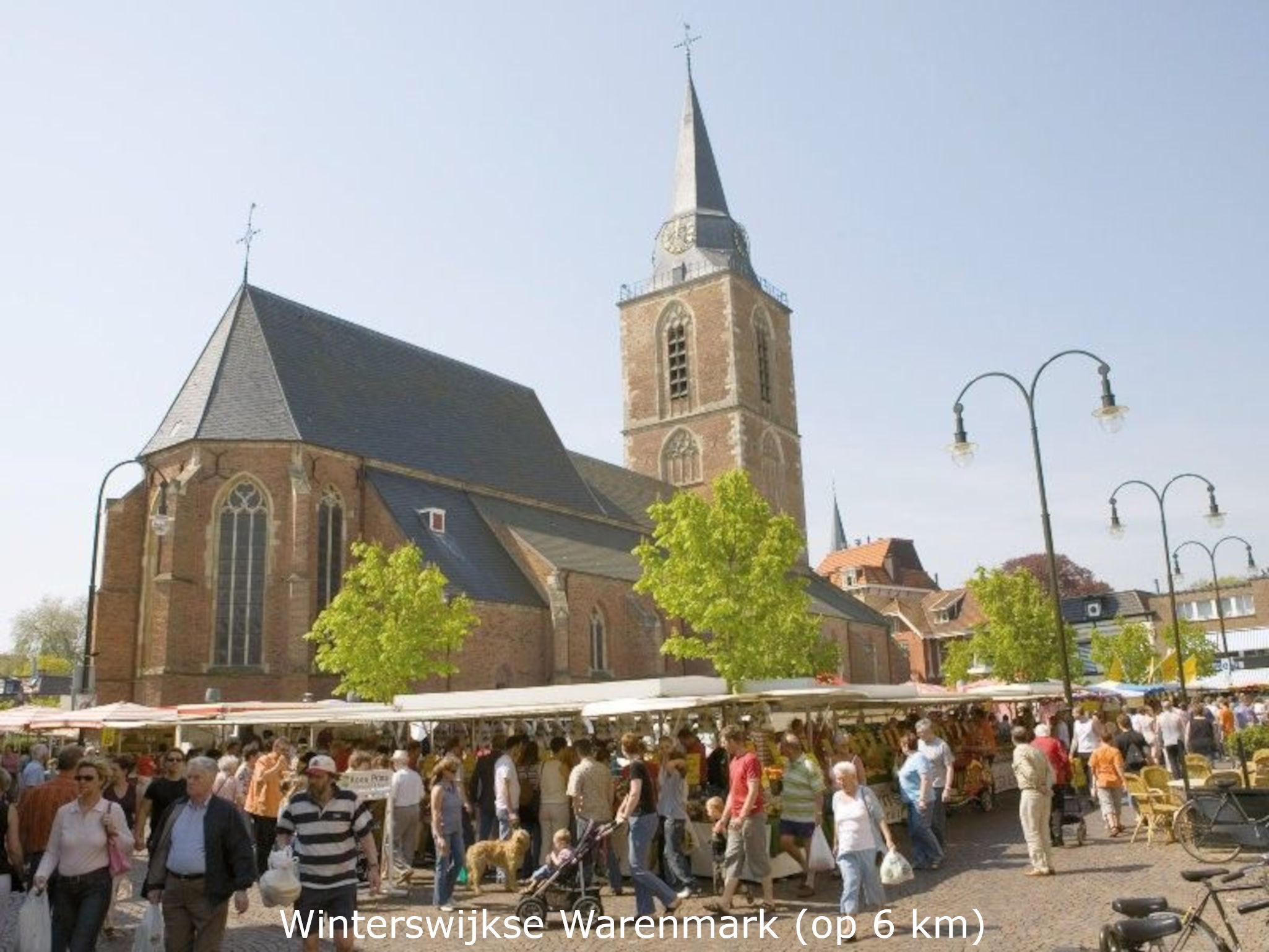 - image: 29