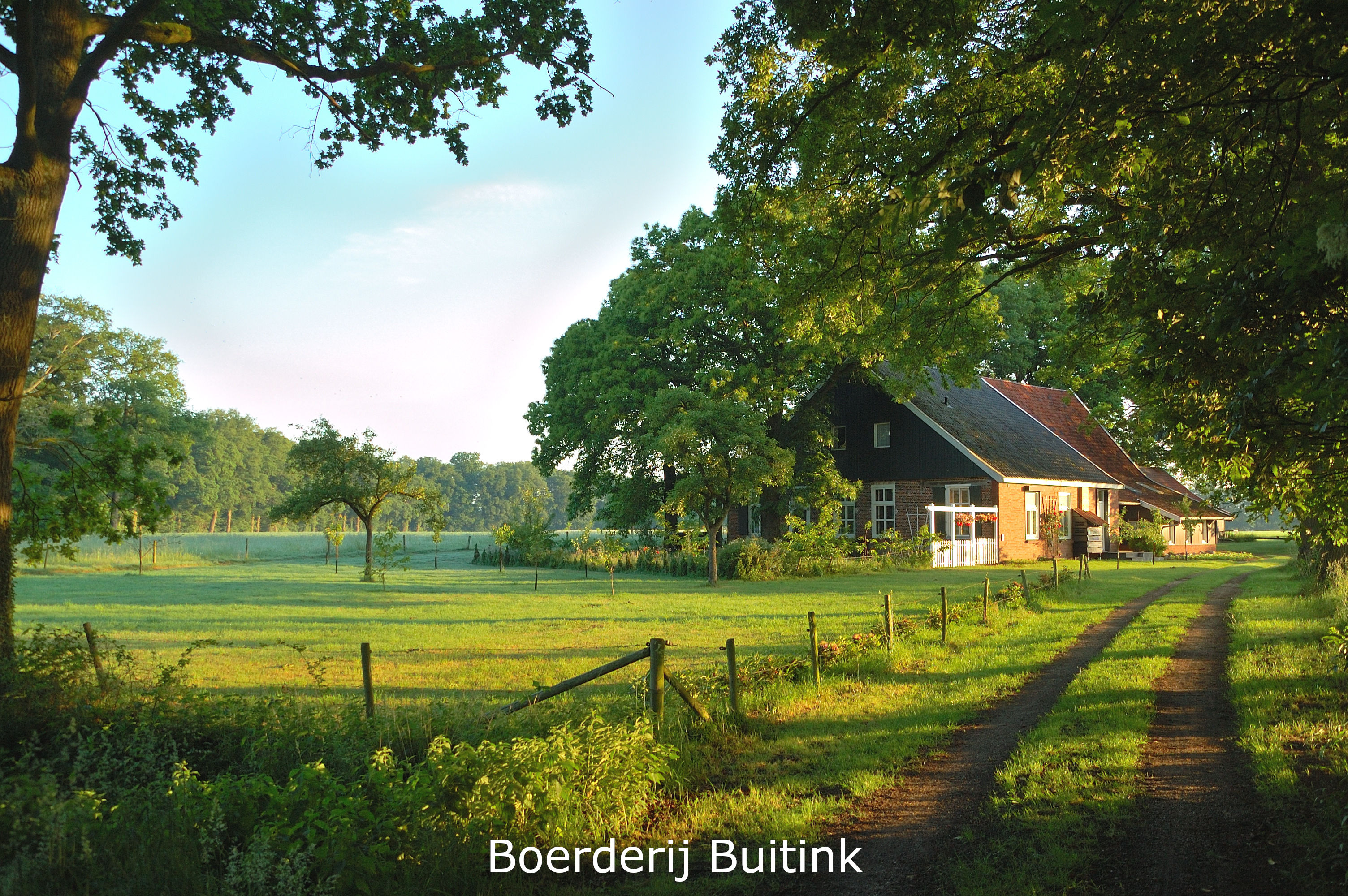 Natuurhuisje in Winterswijk Kotten